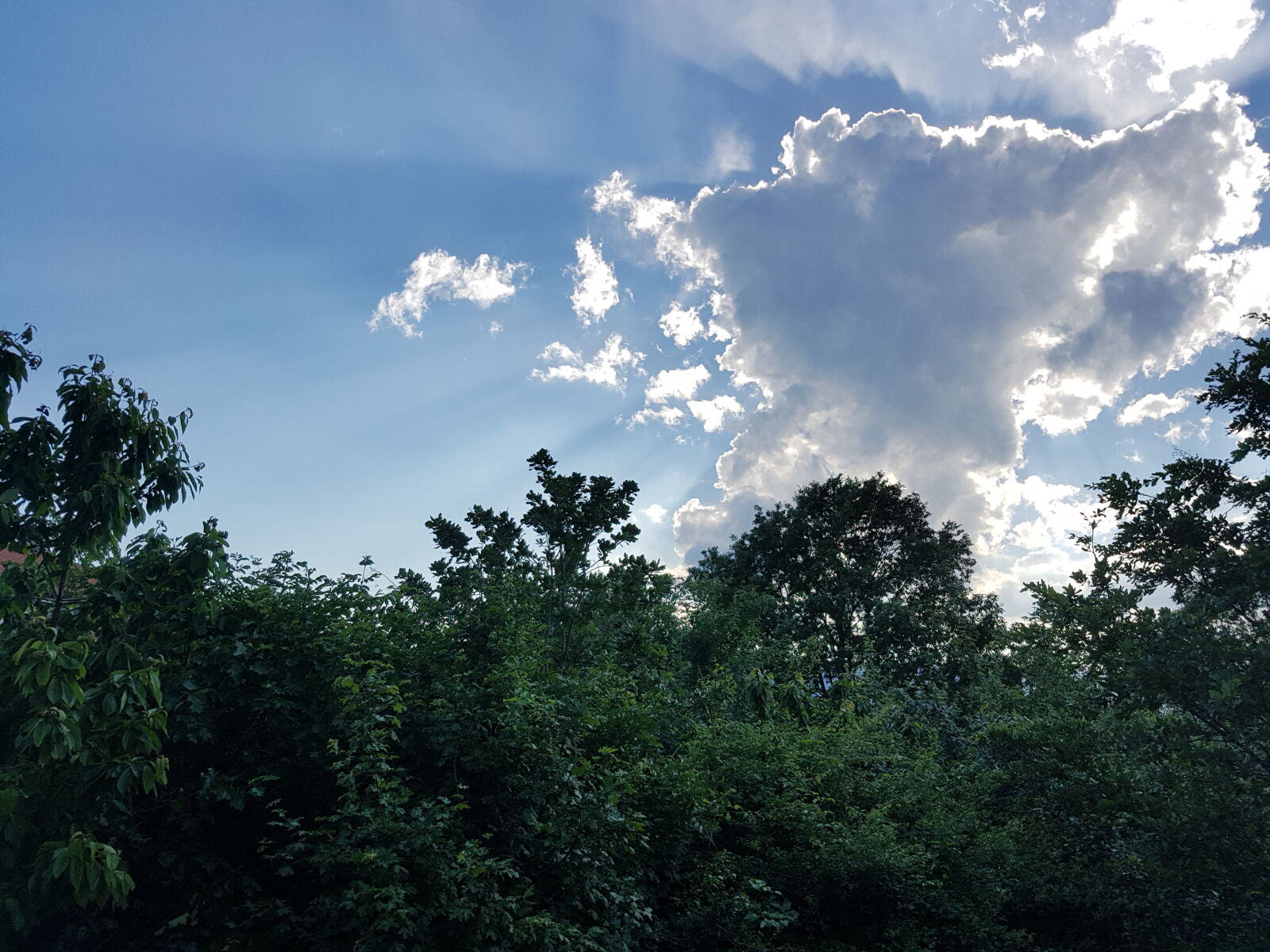 Samsung Galaxy S7 Edge sample photo. Cloud, forest, mothernature, nature photography