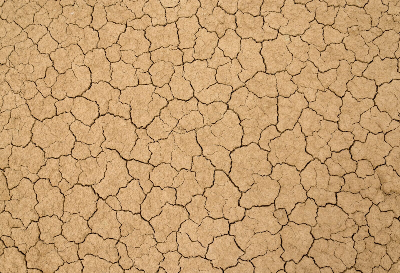 Nikon D610 sample photo. Soil, cracks, clay photography