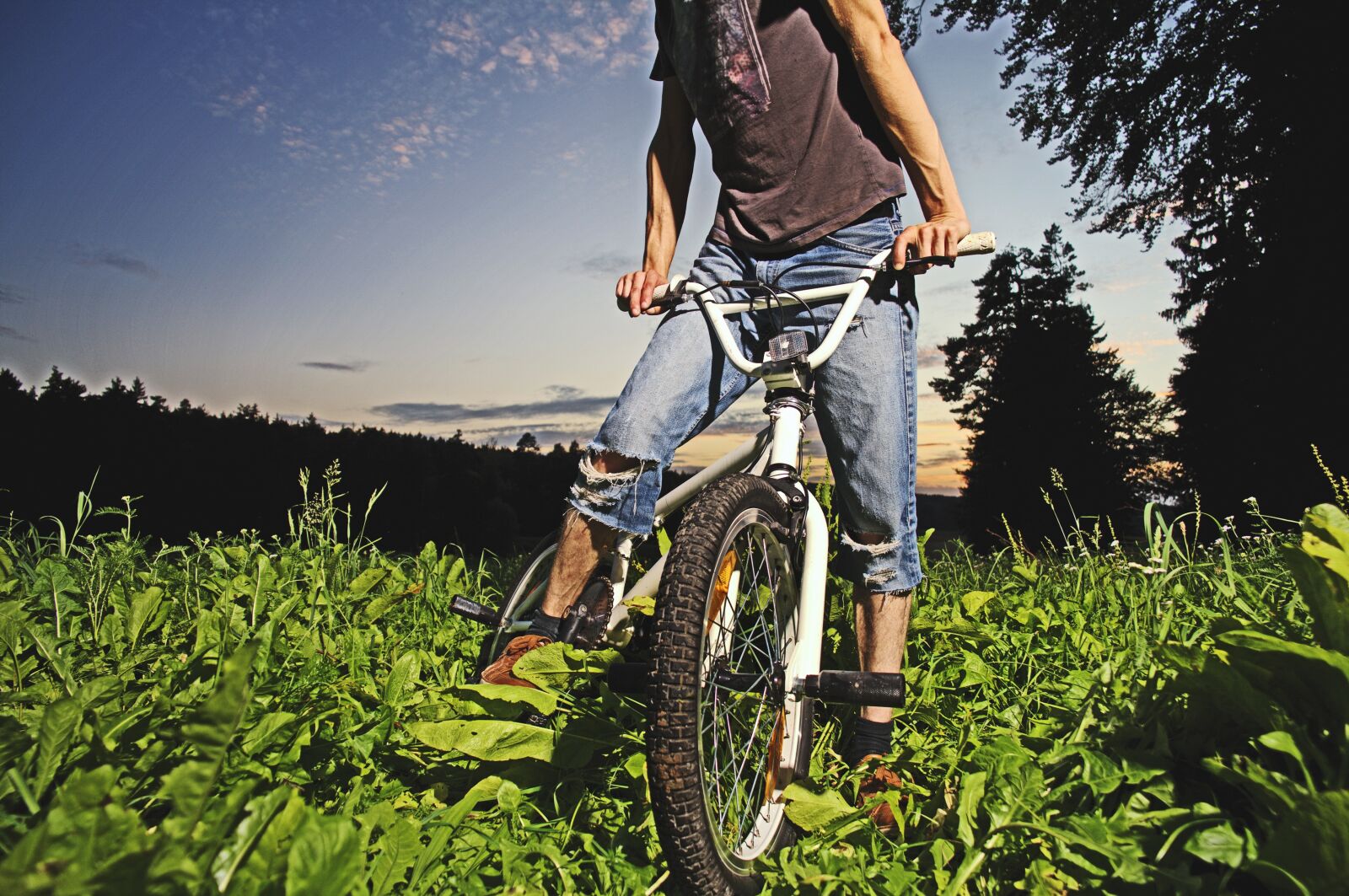 Canon EOS-1Ds Mark III sample photo. Bmx, bike, forest photography