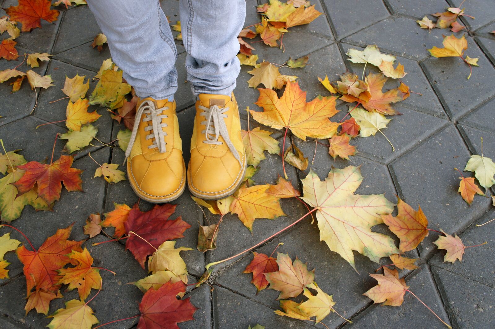 Sony Alpha NEX-3 + Sony E 18-55mm F3.5-5.6 OSS sample photo. Shoes, yellow, autumn photography