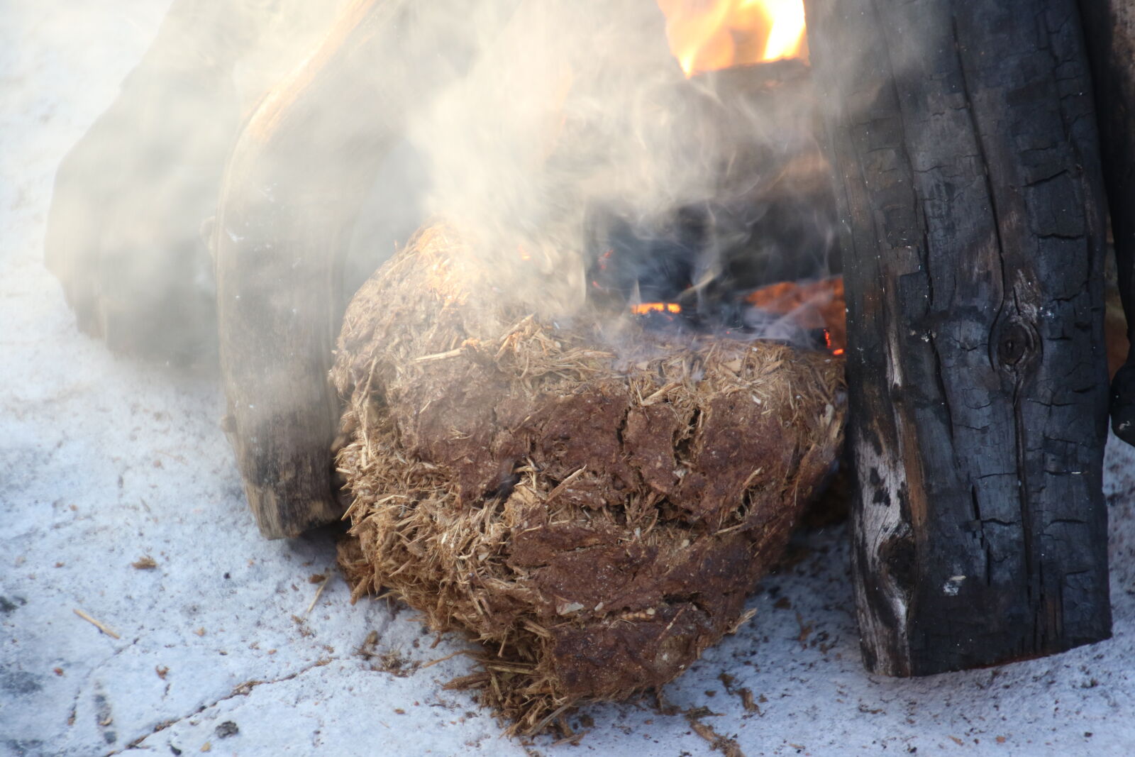 Canon EOS 7D Mark II sample photo. Bushveld, campfire, dung, elephant photography