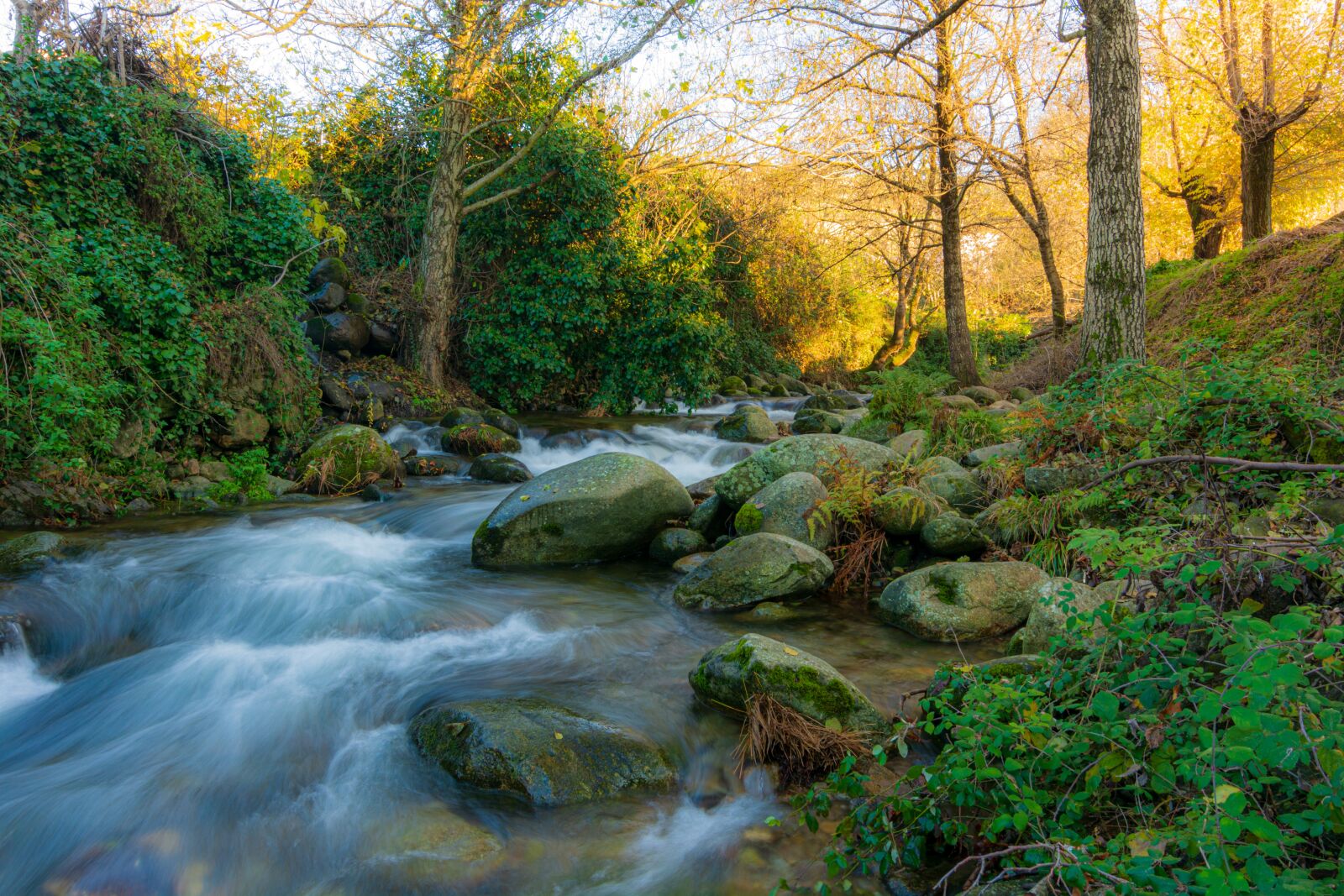 Nikon D7100 sample photo. Water, nature, river photography