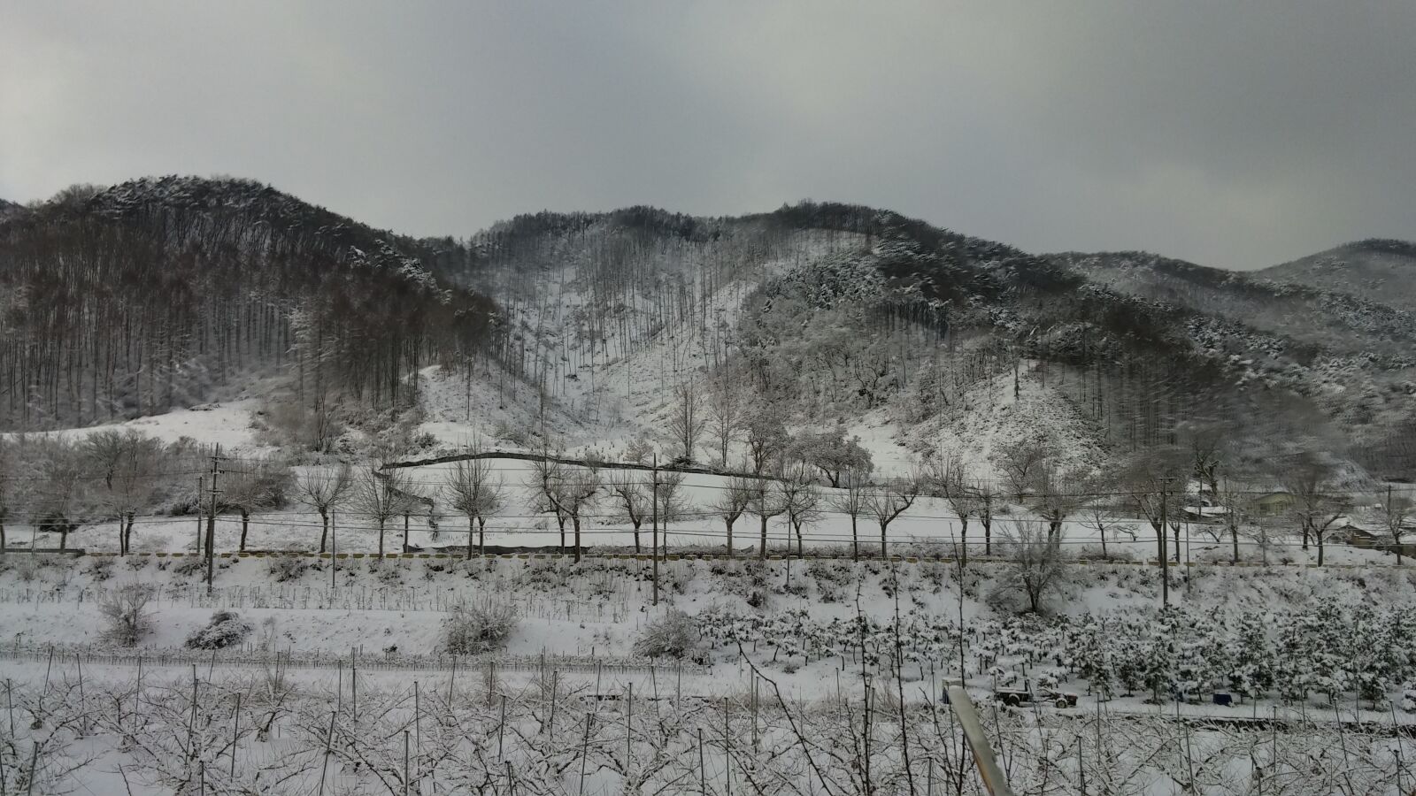 LG G3 sample photo. Winter, ink painting, landscape photography