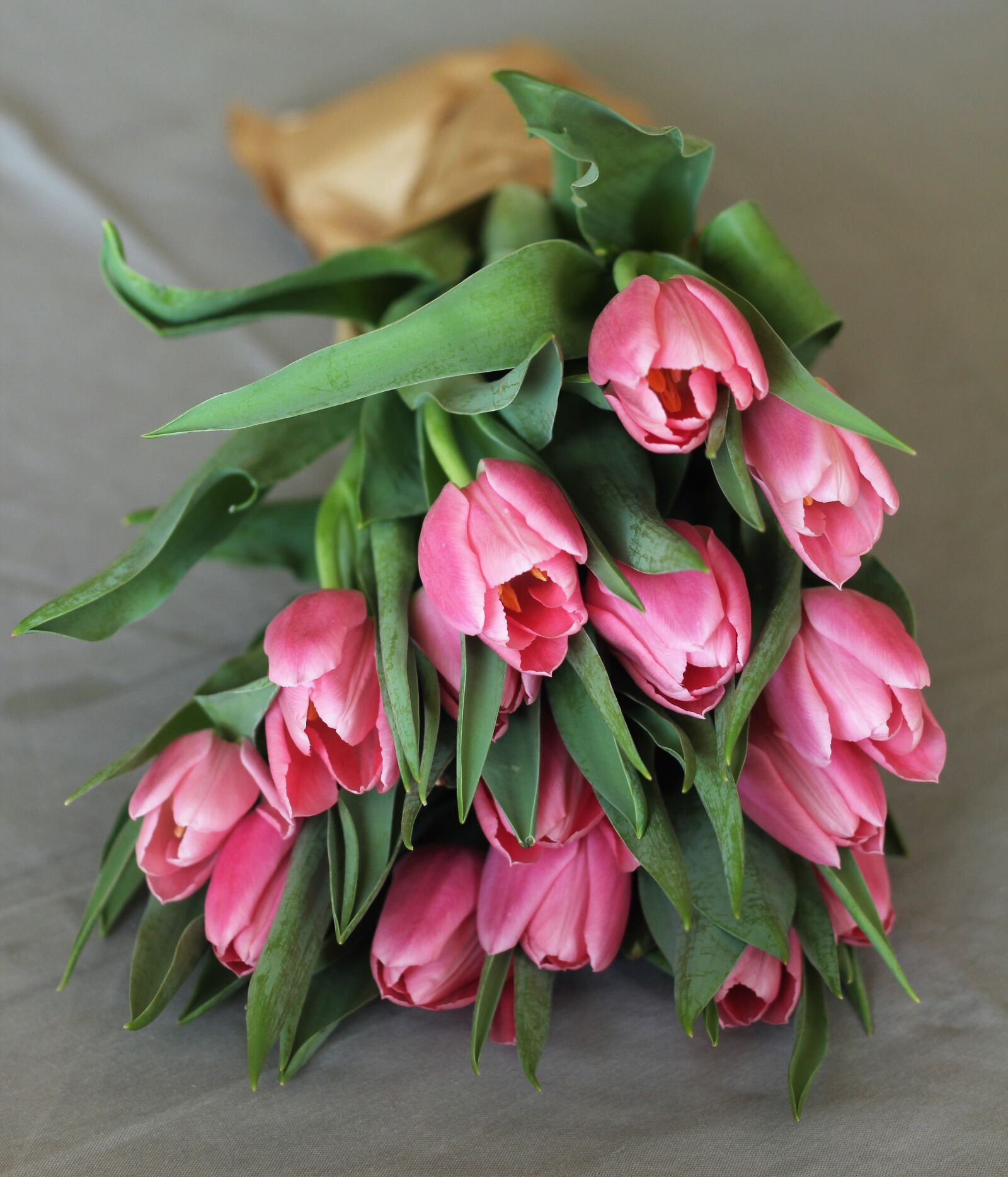 Canon EOS 600D (Rebel EOS T3i / EOS Kiss X5) + Canon EF 50mm F1.8 II sample photo. Tulips, bouquet, flowers photography