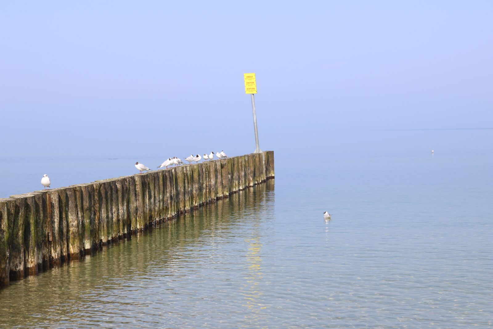 Canon EOS 750D (EOS Rebel T6i / EOS Kiss X8i) sample photo. Baltic sea, r gen photography