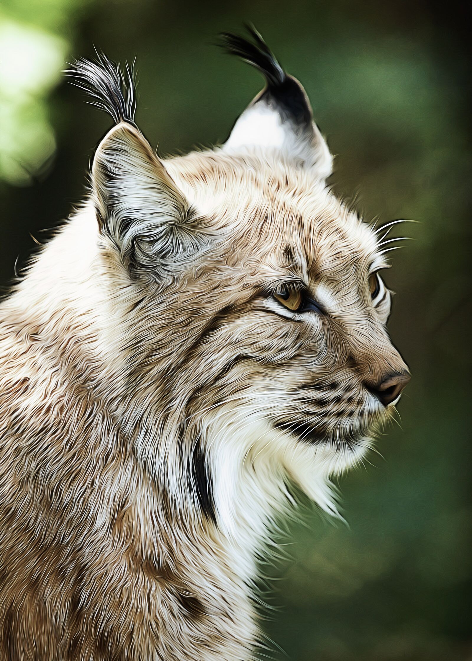 Canon EOS 5D Mark II sample photo. Animal, beast, big photography