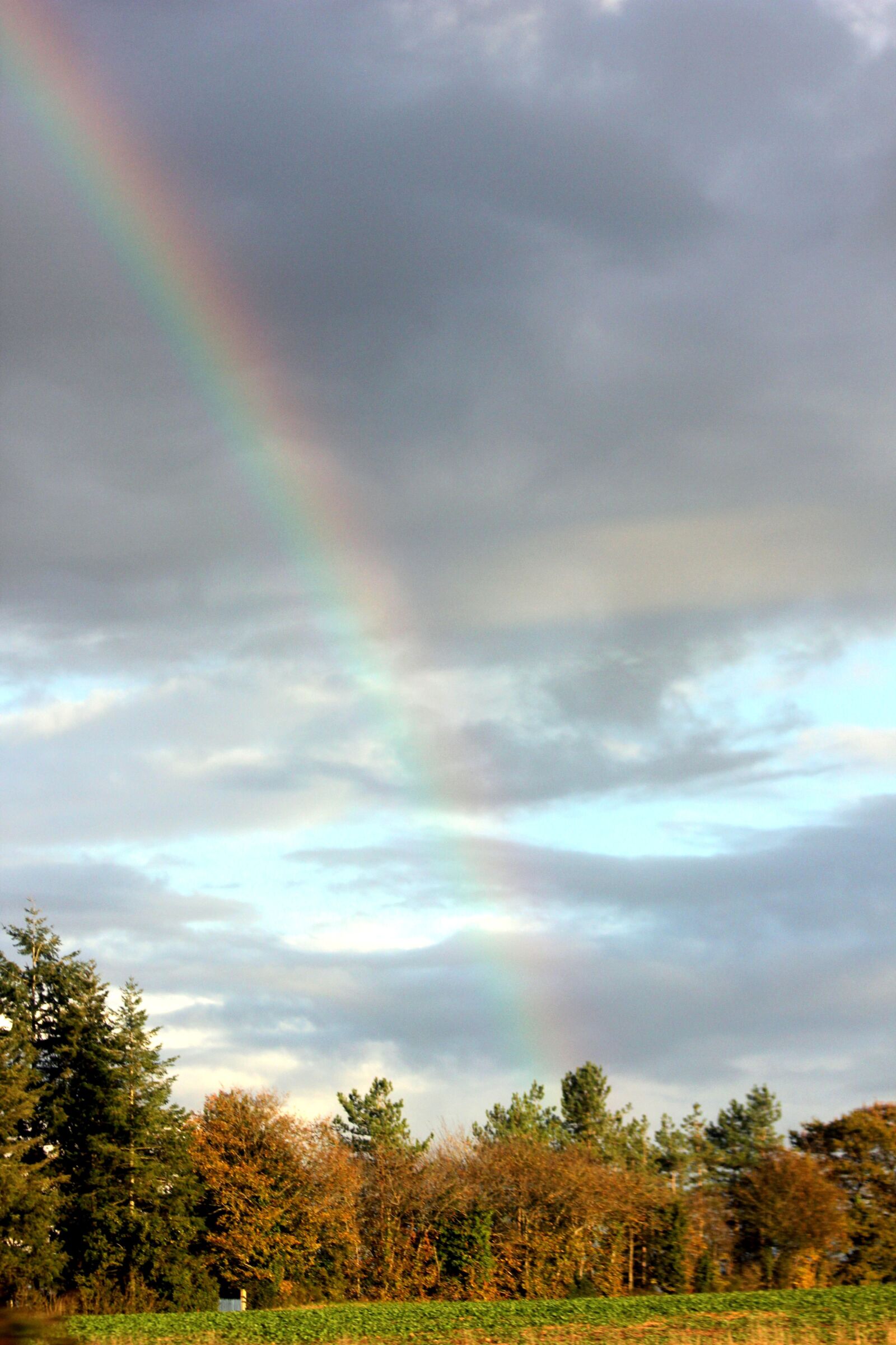 Canon EOS 550D (EOS Rebel T2i / EOS Kiss X4) sample photo. Sky, rainbow, landscape photography