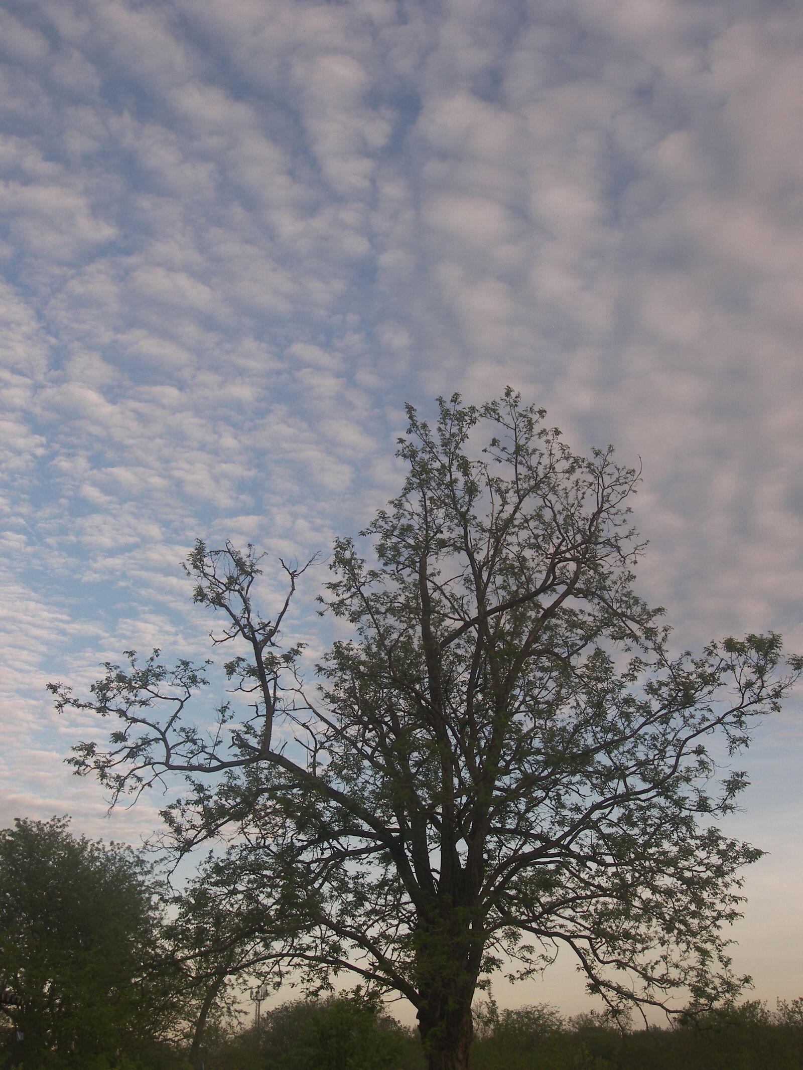 Kodak P880 ZOOM DIGITAL CAMERA sample photo. Sky, the caucasus, spring photography