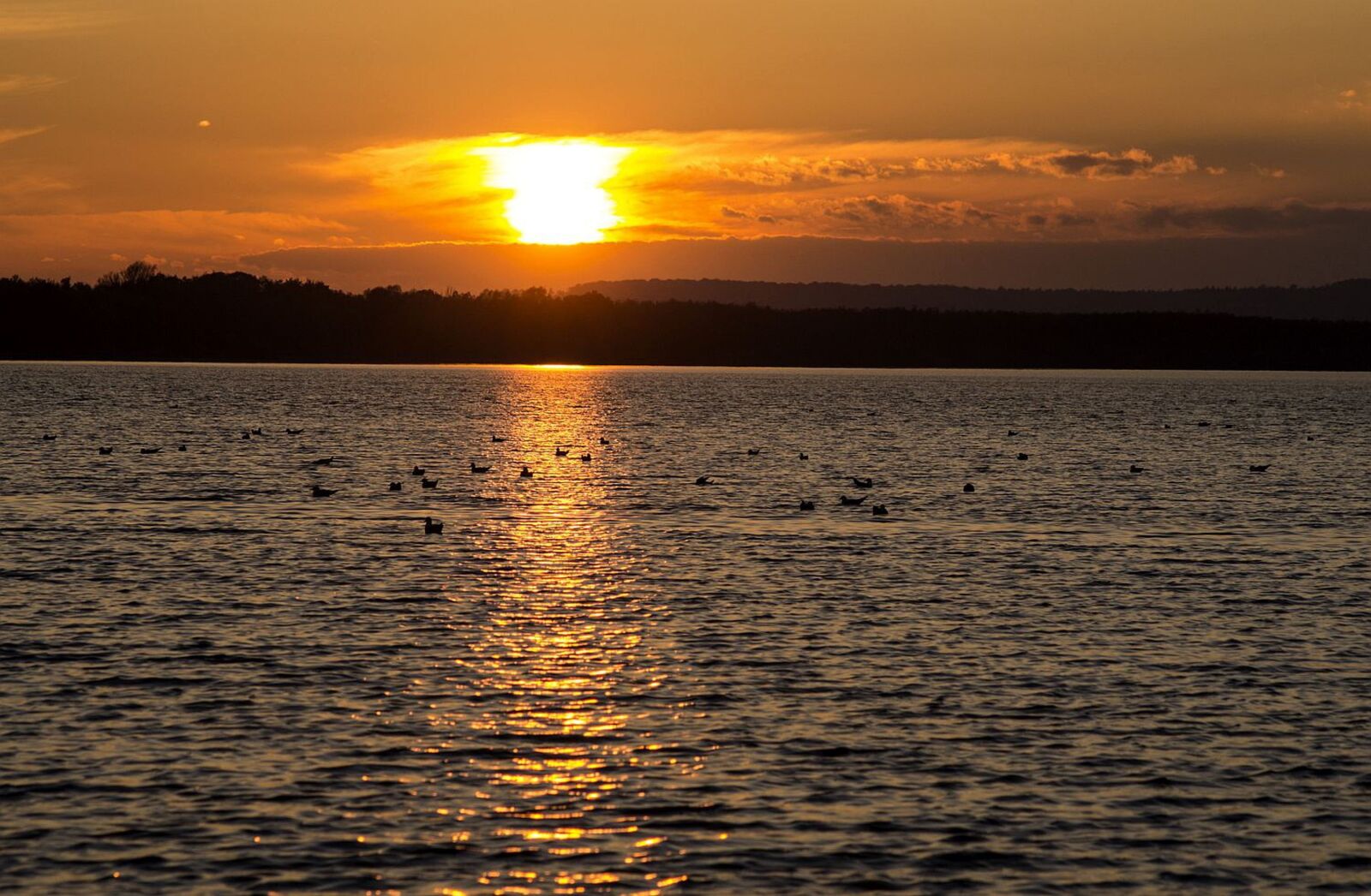 Nikon D3100 sample photo. Sun, sunset, abendstimmung photography