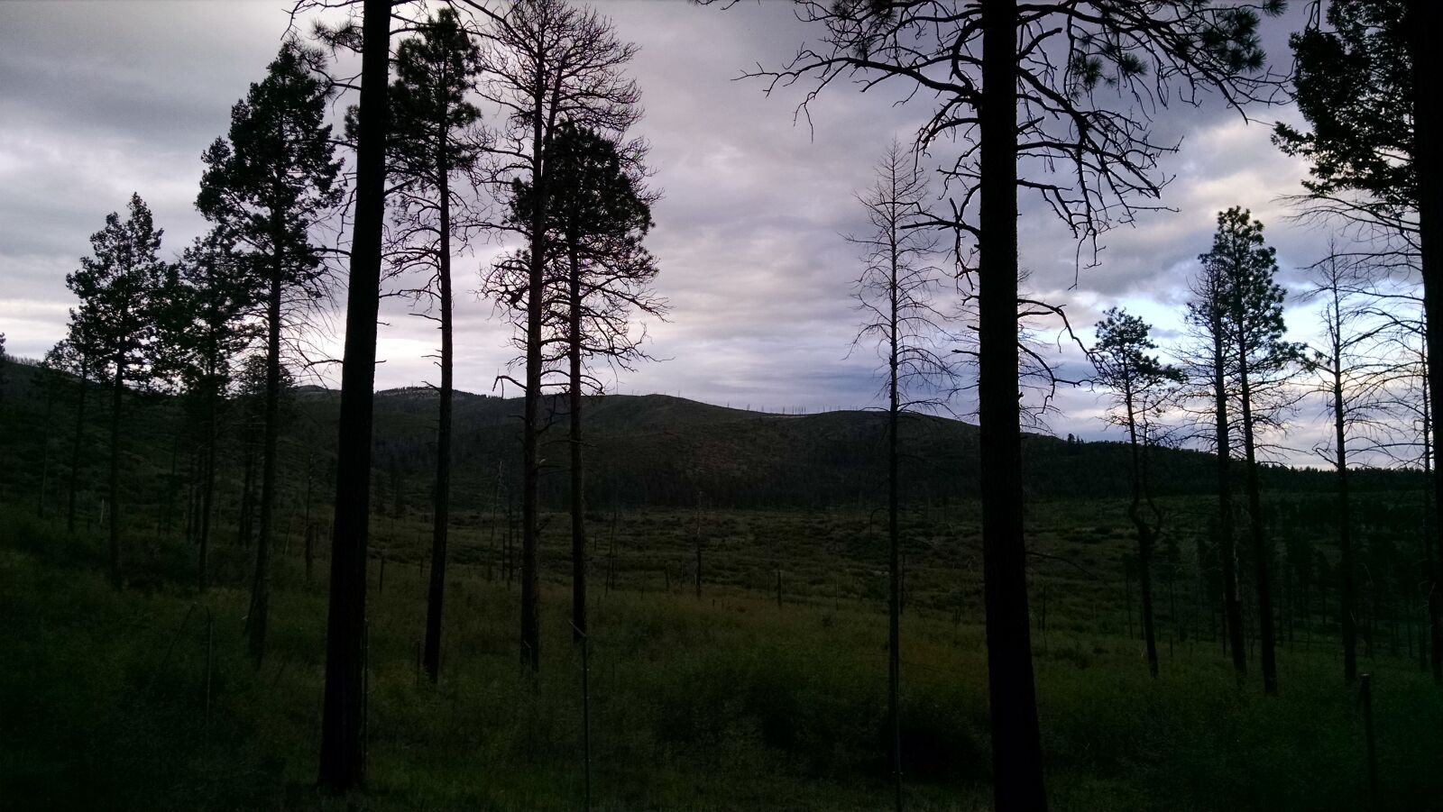Motorola XT1080 sample photo