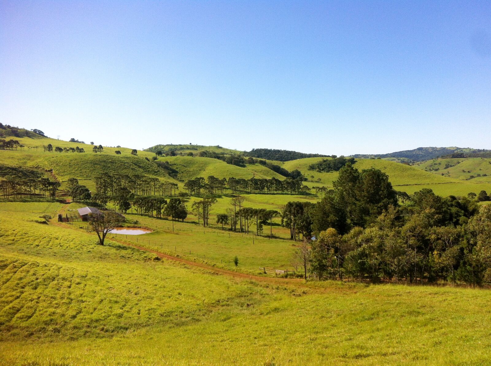 iPhone 4 back camera 3.85mm f/2.8 sample photo. Landscape, green, sol photography