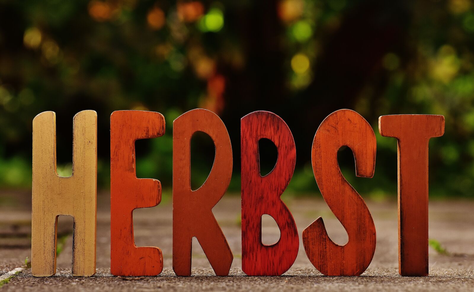 Nikon D7200 sample photo. Autumn, season, font photography