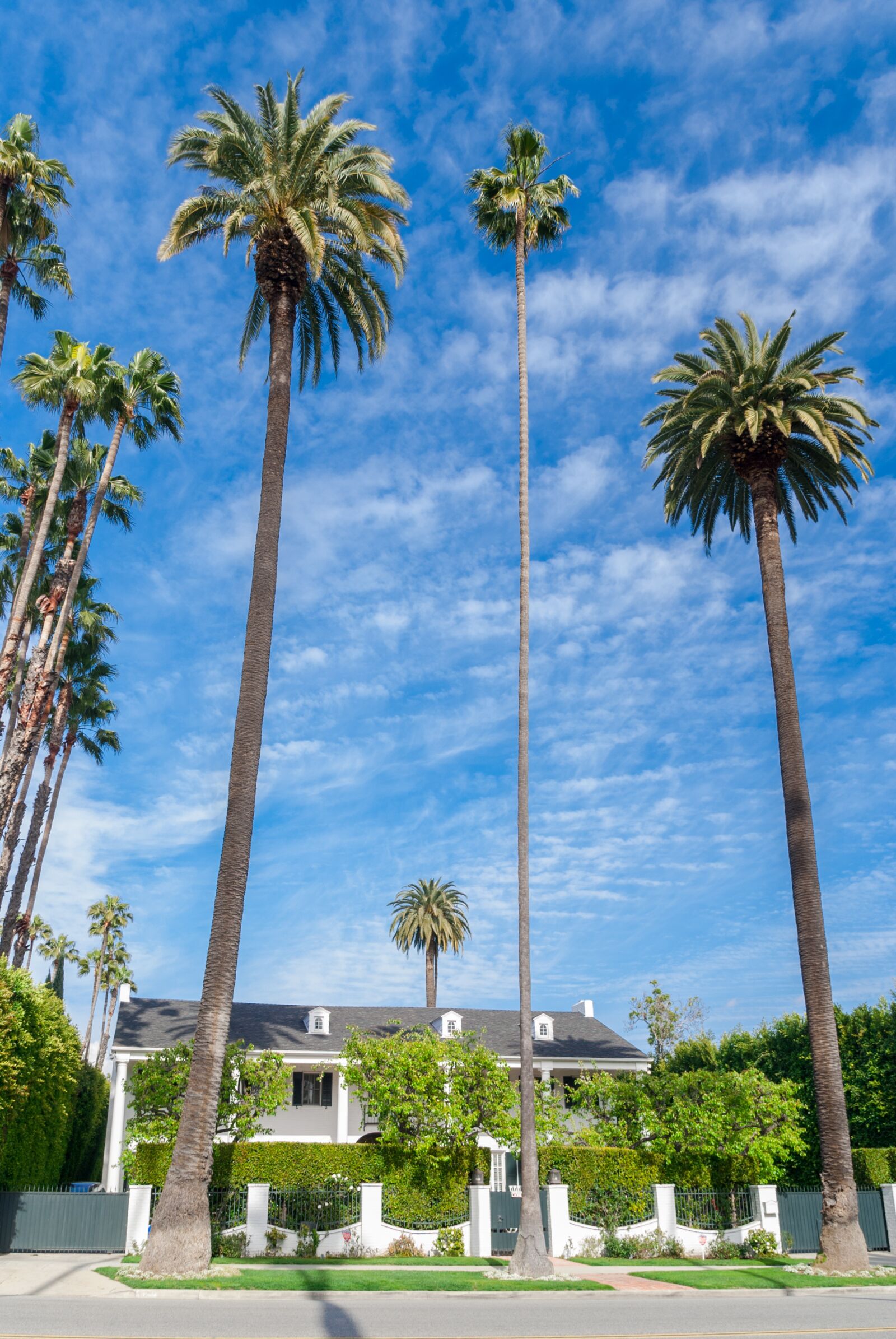Nikon D60 sample photo. Beverly hills, california, house photography