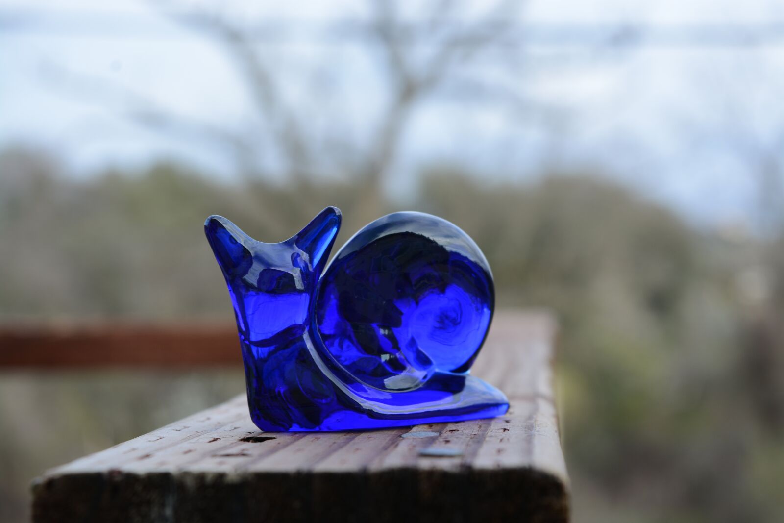 Nikon D7100 sample photo. Blue, glass, snail photography