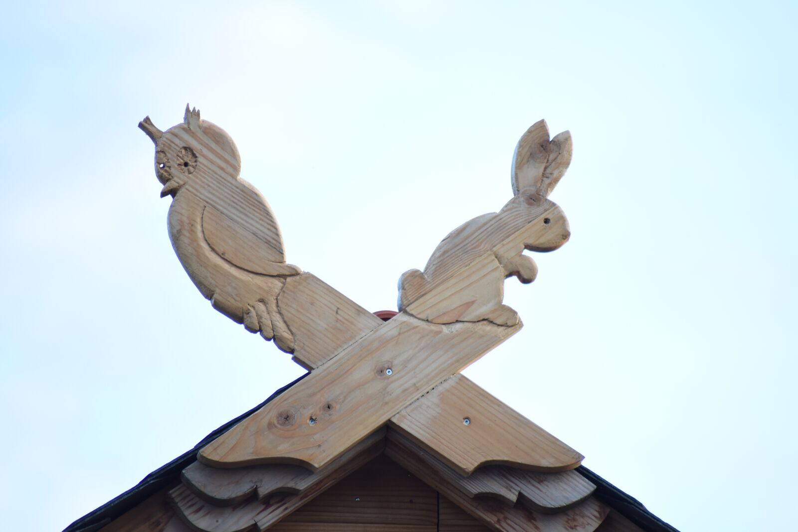 Nikon D750 sample photo. Rabbit, bunny, sky photography