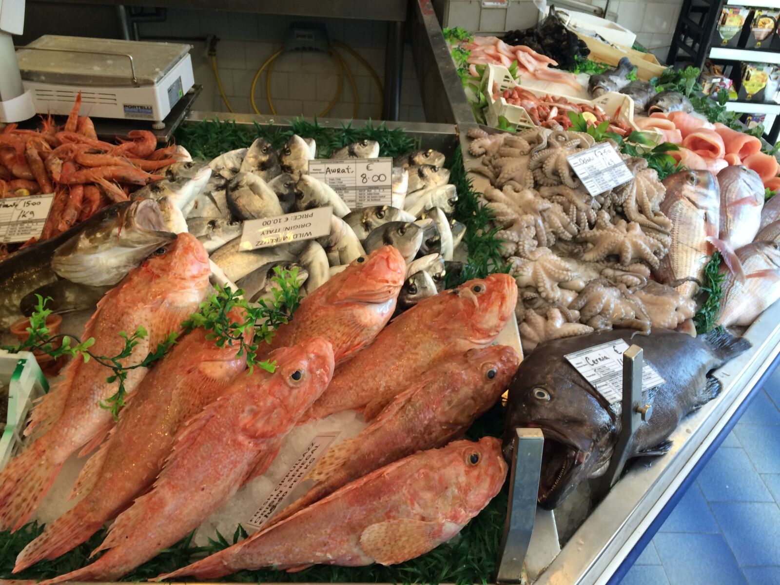 iPhone 5s back camera 4.15mm f/2.2 sample photo. Seafood, fish, eating photography