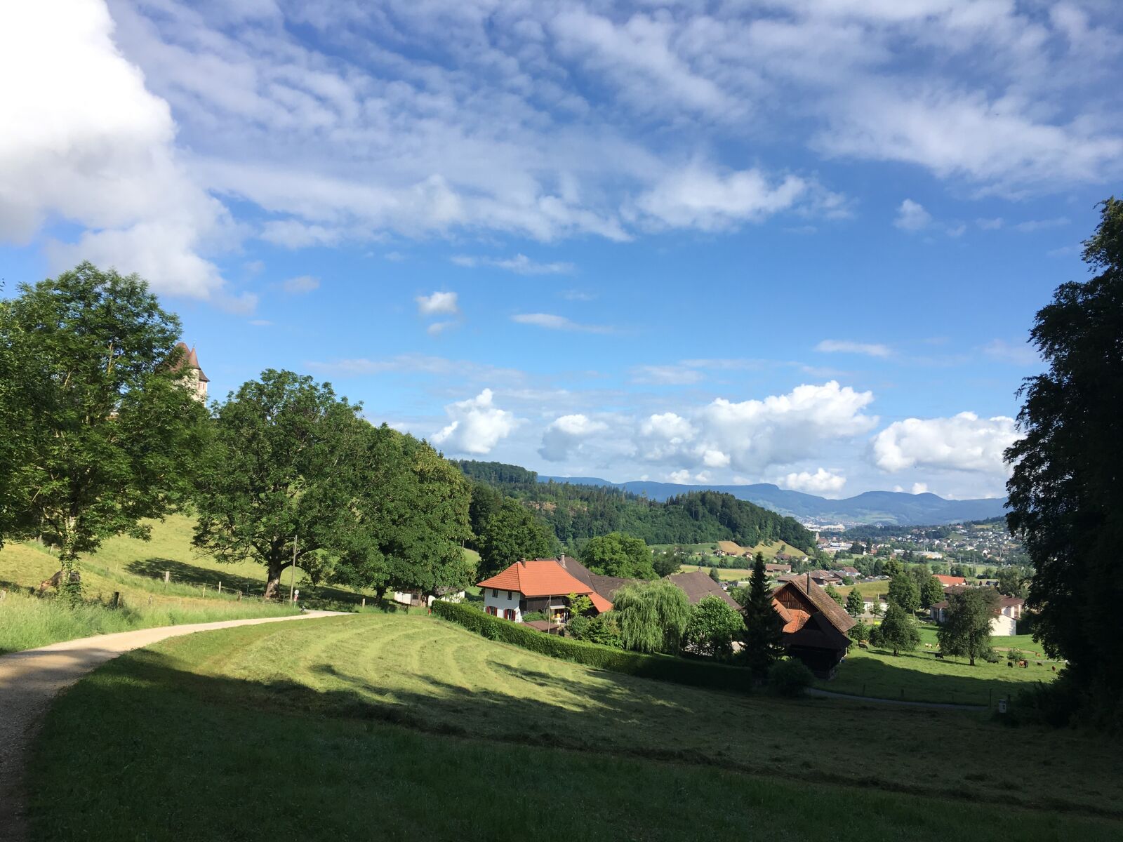 iPhone SE back camera 4.15mm f/2.2 sample photo. Landscape, green, trees photography