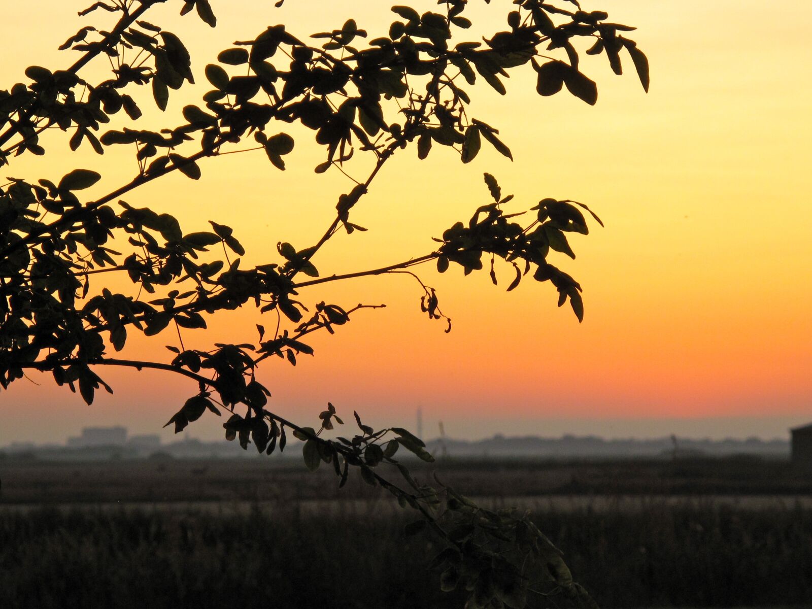 Canon PowerShot G10 sample photo. Landscape, sunset, archsum photography