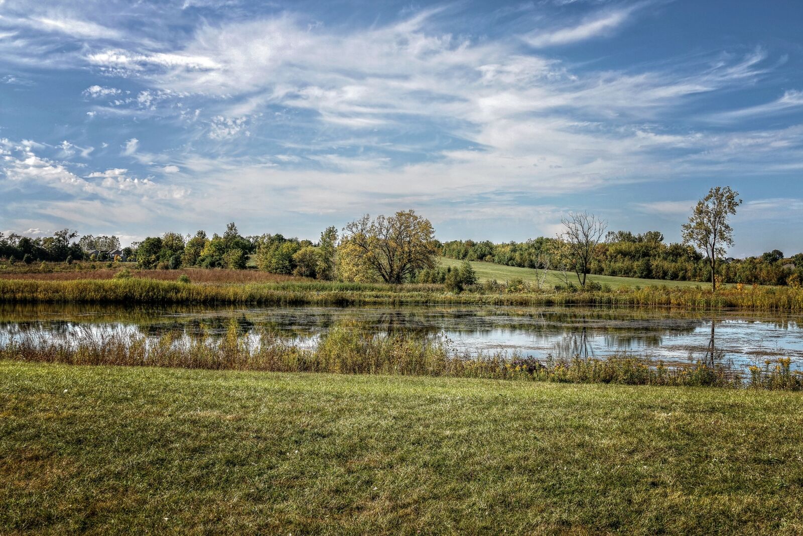 Canon EOS 70D + Canon EF 50mm F1.8 II sample photo. Lake, scenery, green photography