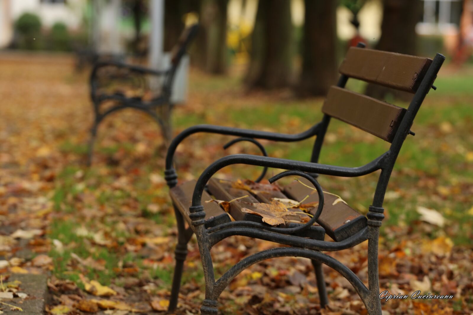 Canon EF 70-200mm F4L USM sample photo. Autumn, resita, romania photography