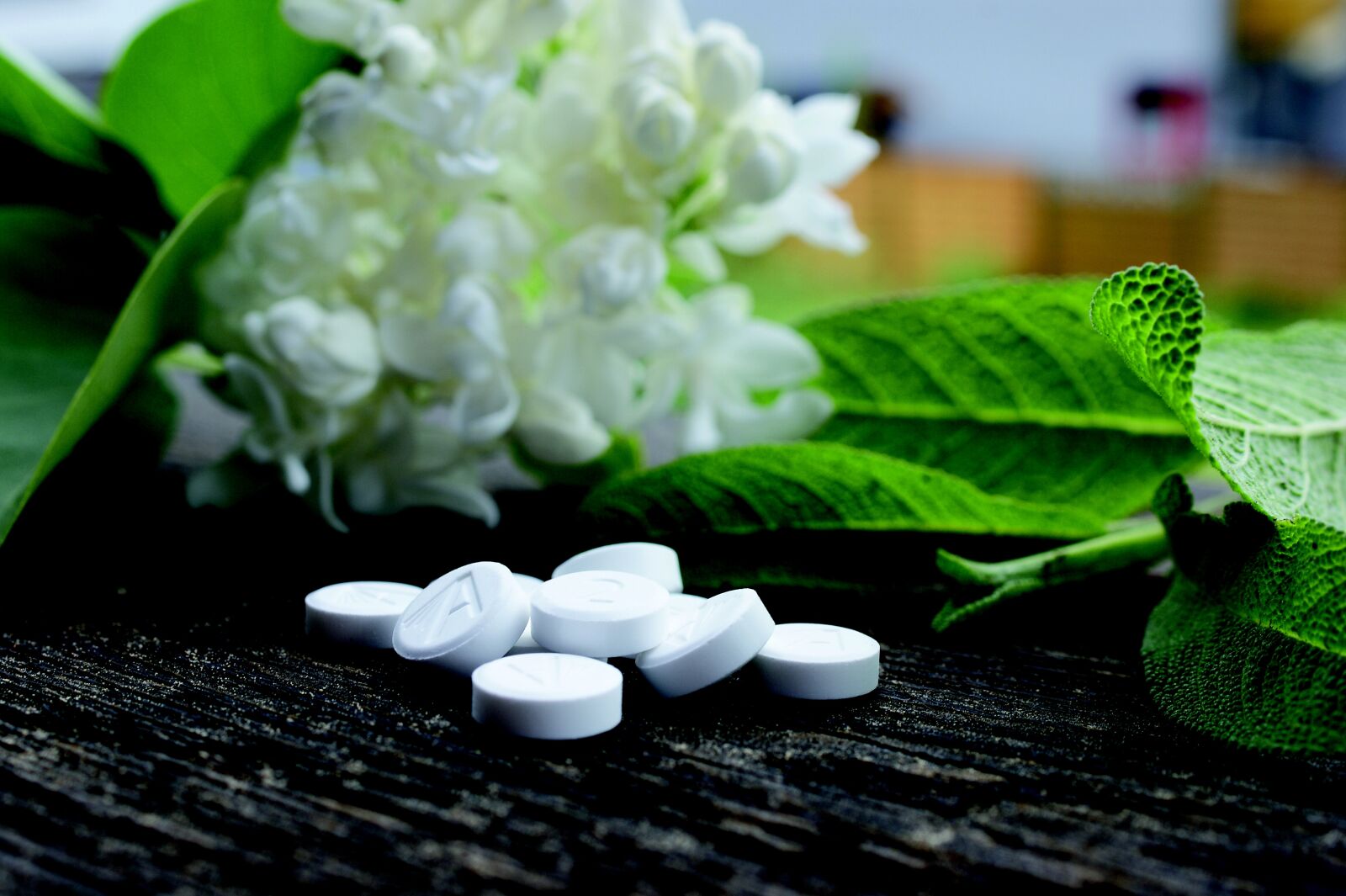 Sony Alpha DSLR-A350 sample photo. Schuessler, minerals, alternative medicine photography