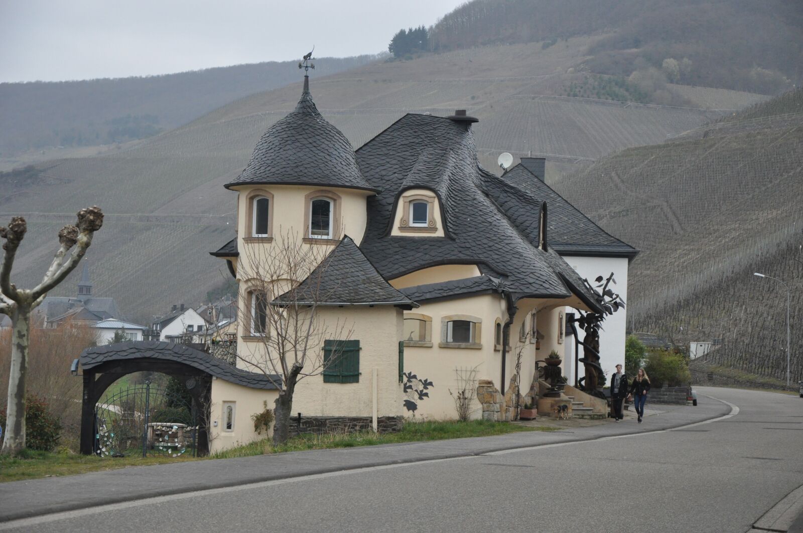 Nikon D90 sample photo. The valley of the photography