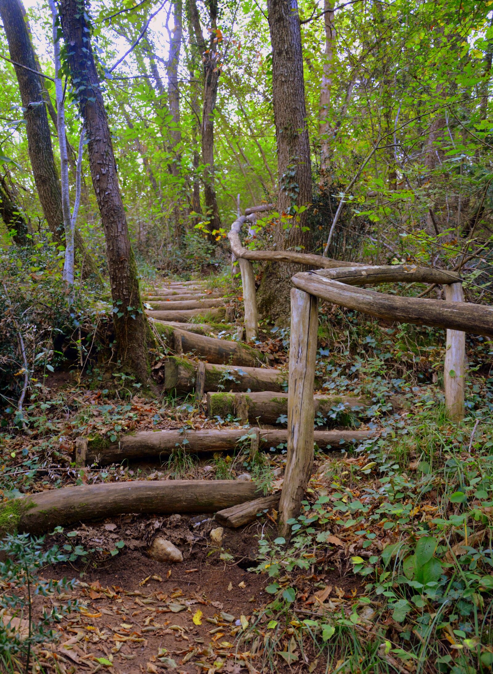 Nikon D7100 sample photo. Stairs, wood, the european photography