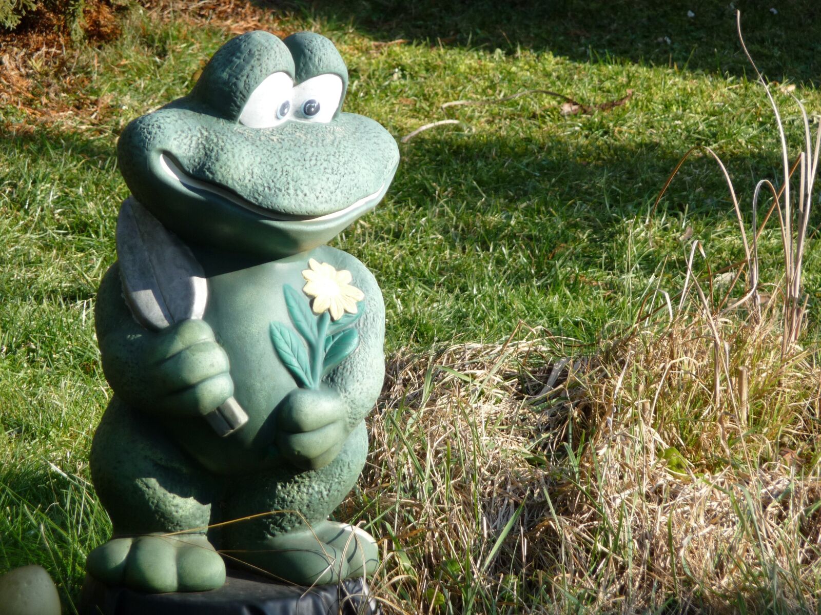 Panasonic Lumix DMC-TZ5 sample photo. Frog, garden, figure photography