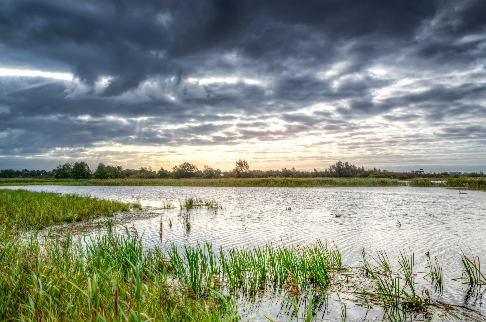 Nikon D610 sample photo. Swamp, morning, water photography
