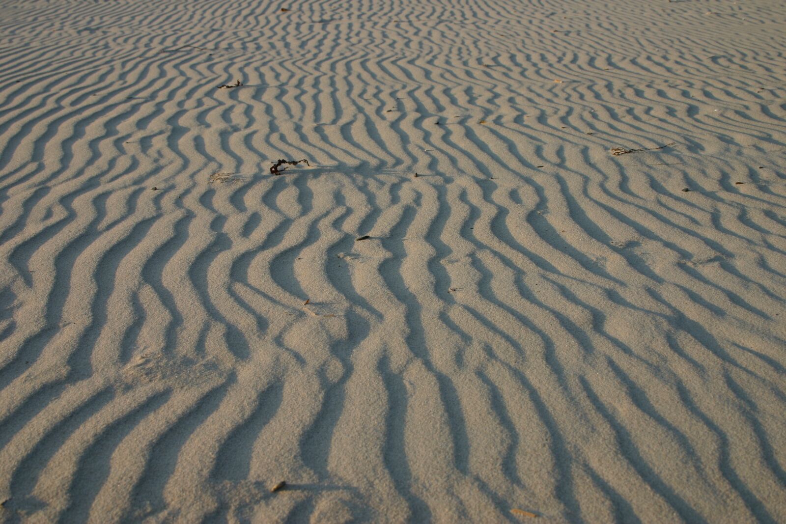 Canon EOS 300D (EOS Digital Rebel / EOS Kiss Digital) sample photo. Beach, sand, sea photography