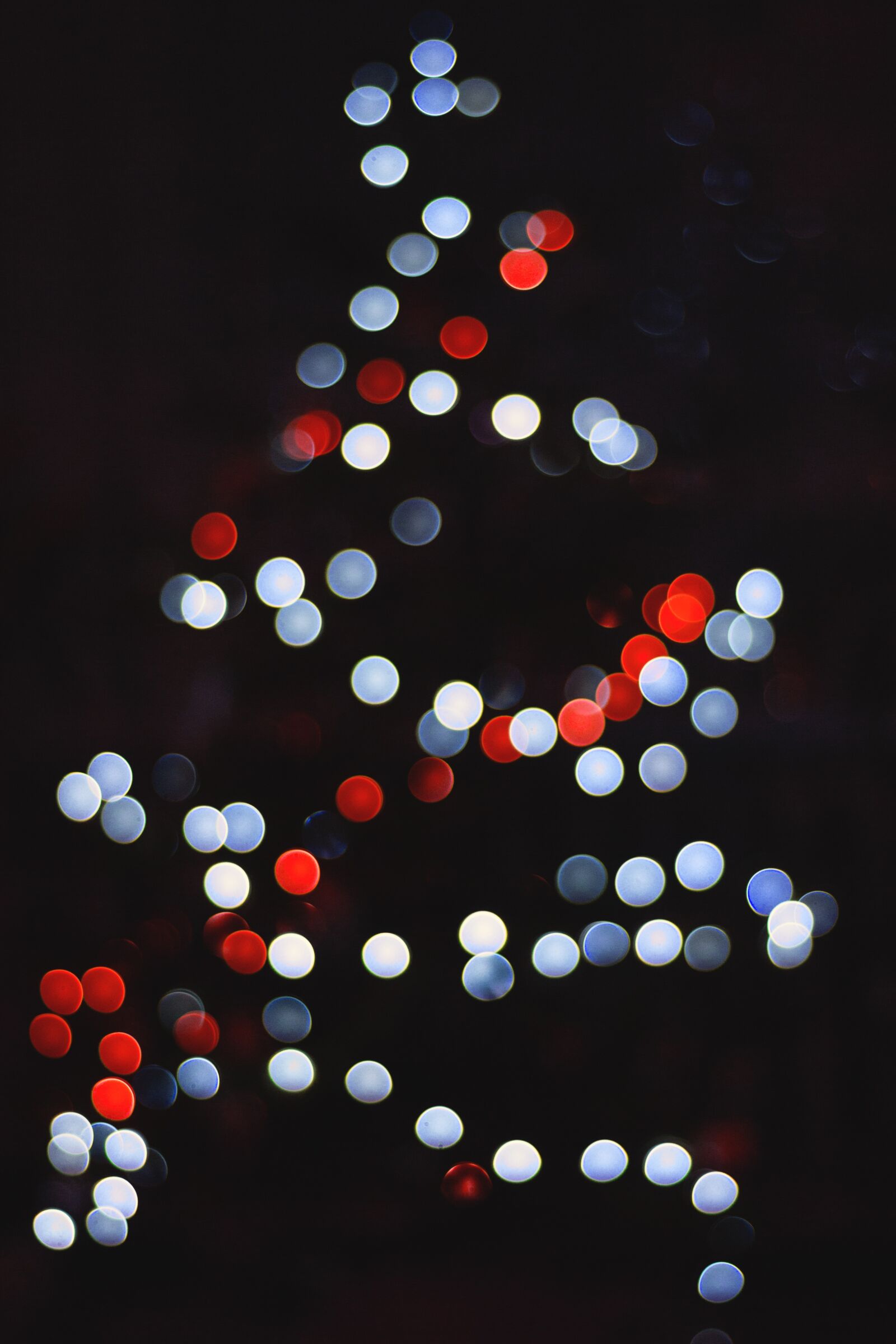 YN50mm f/1.8 II sample photo. Christmas tree, lights, winter photography
