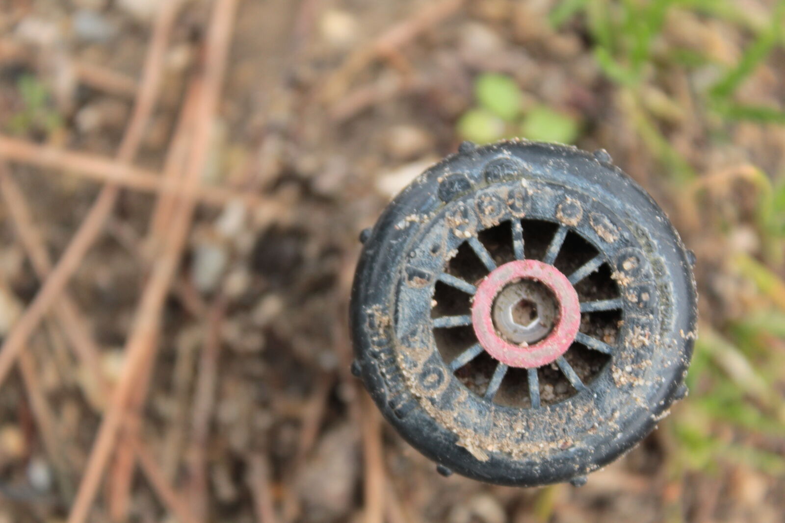 Canon EOS 550D (EOS Rebel T2i / EOS Kiss X4) sample photo. Blur, sprinkler photography