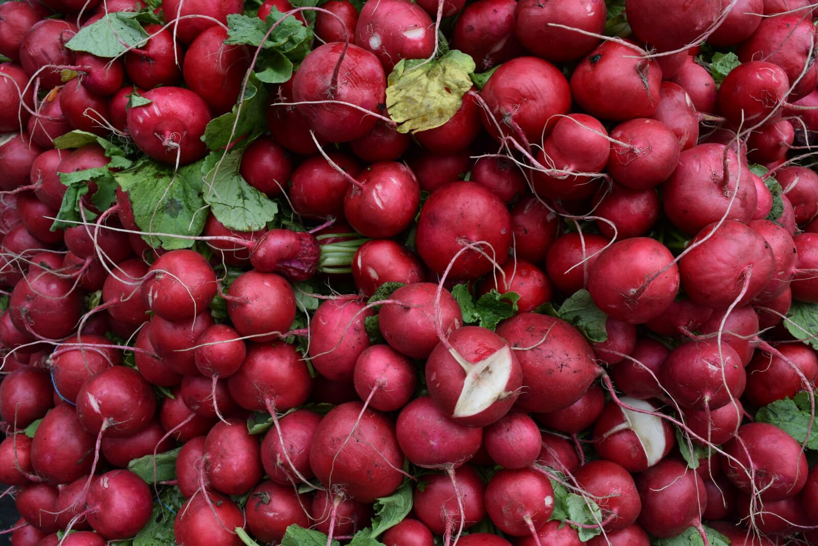 Nikon D3300 sample photo. Vegetables, veggies, red photography