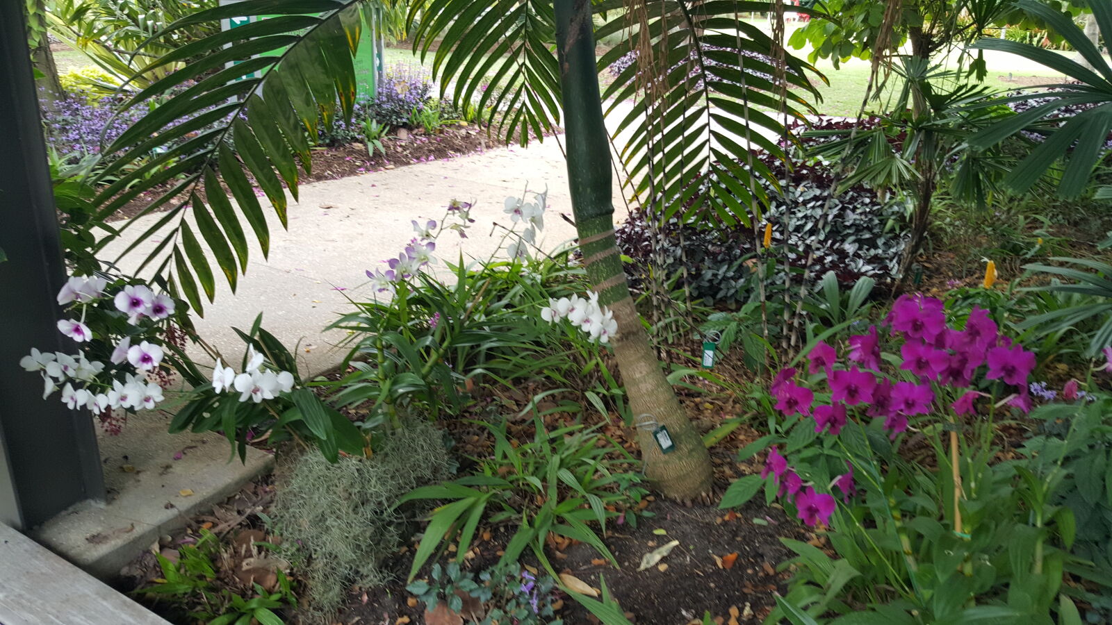 Samsung GALAXY S6 edge sample photo. Botanical, gardens photography