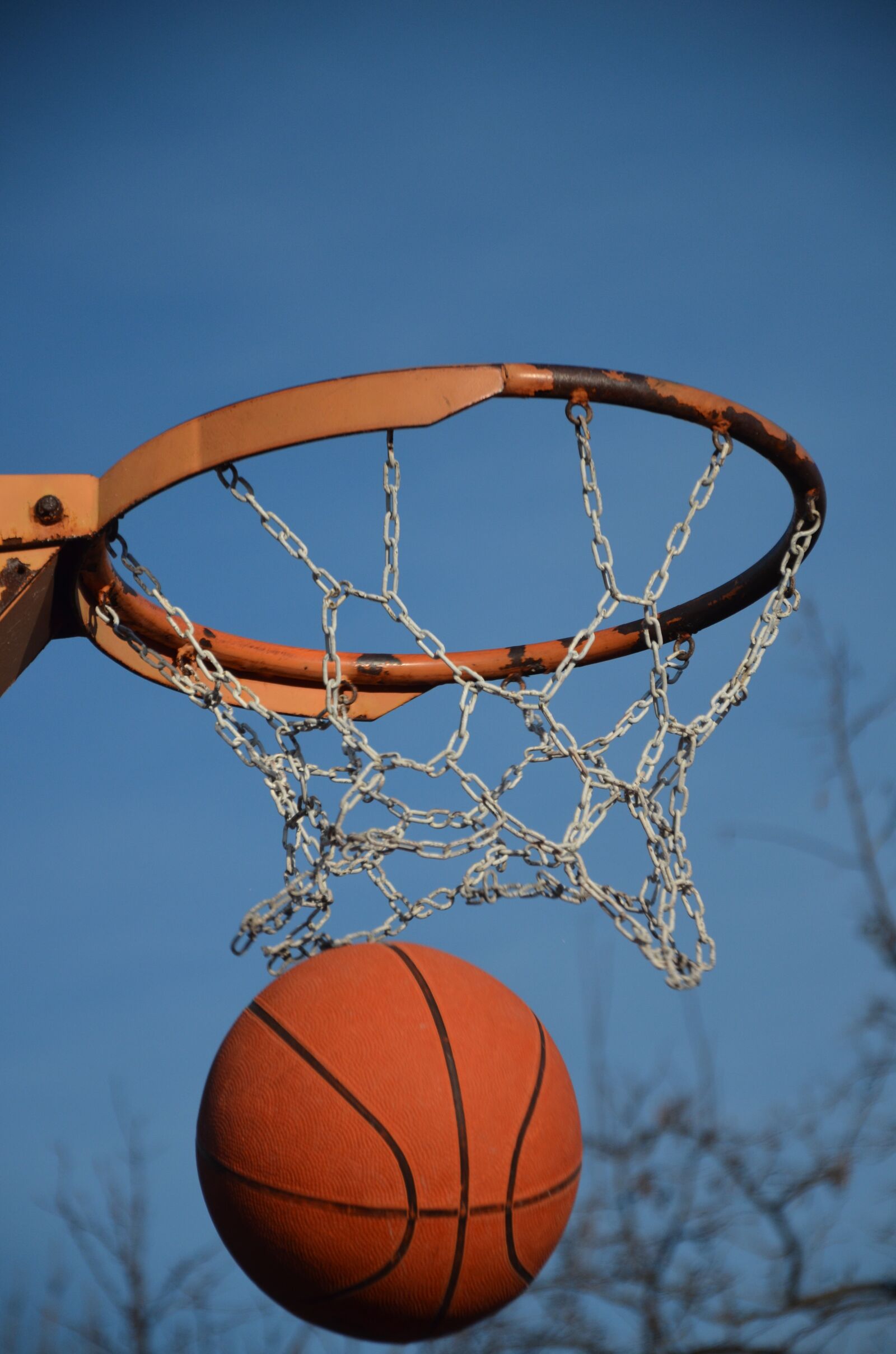 Nikon D5100 sample photo. Basketball, ball, sport photography