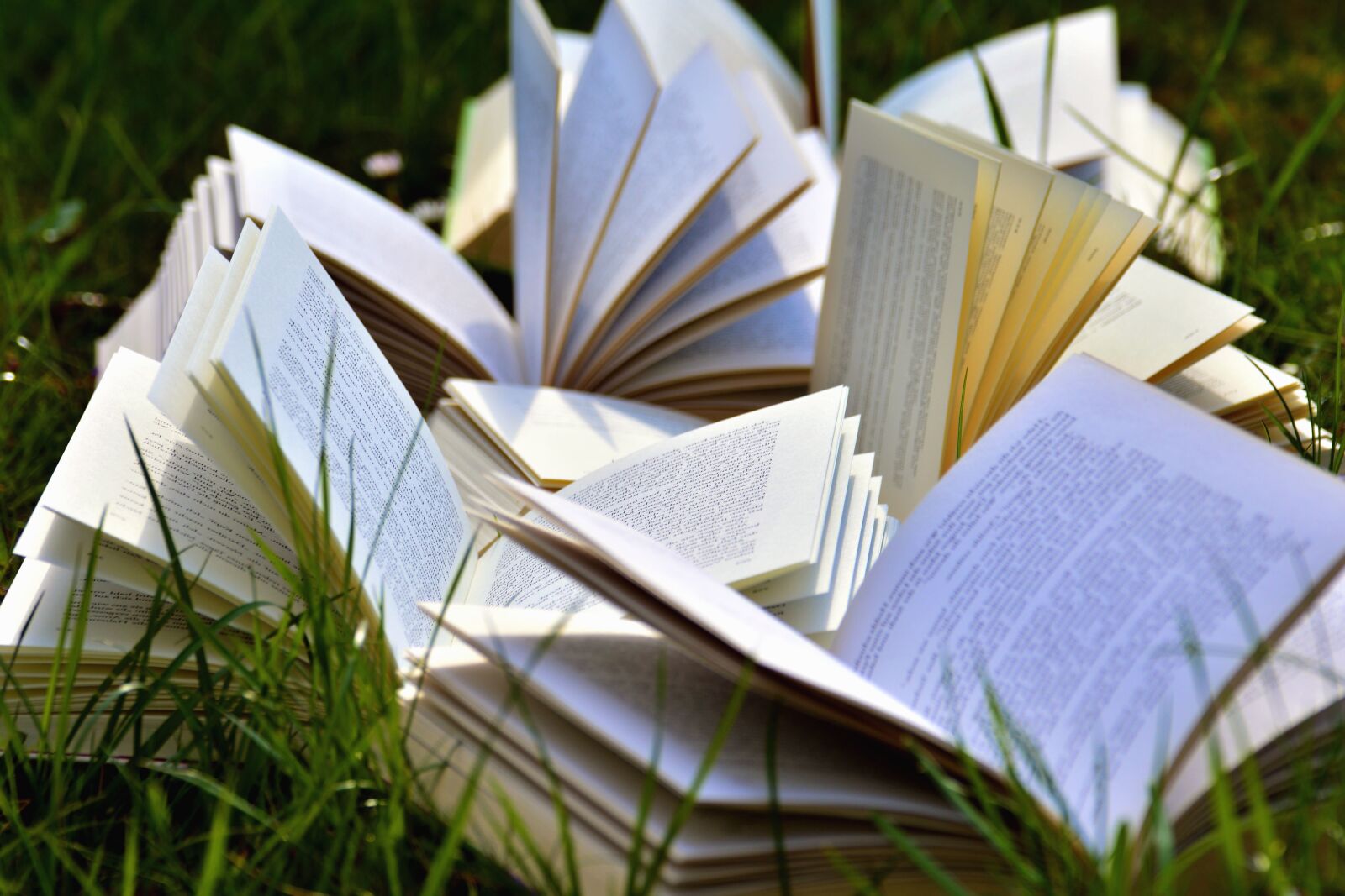Nikon D5200 sample photo. Book, grass, nature, science photography