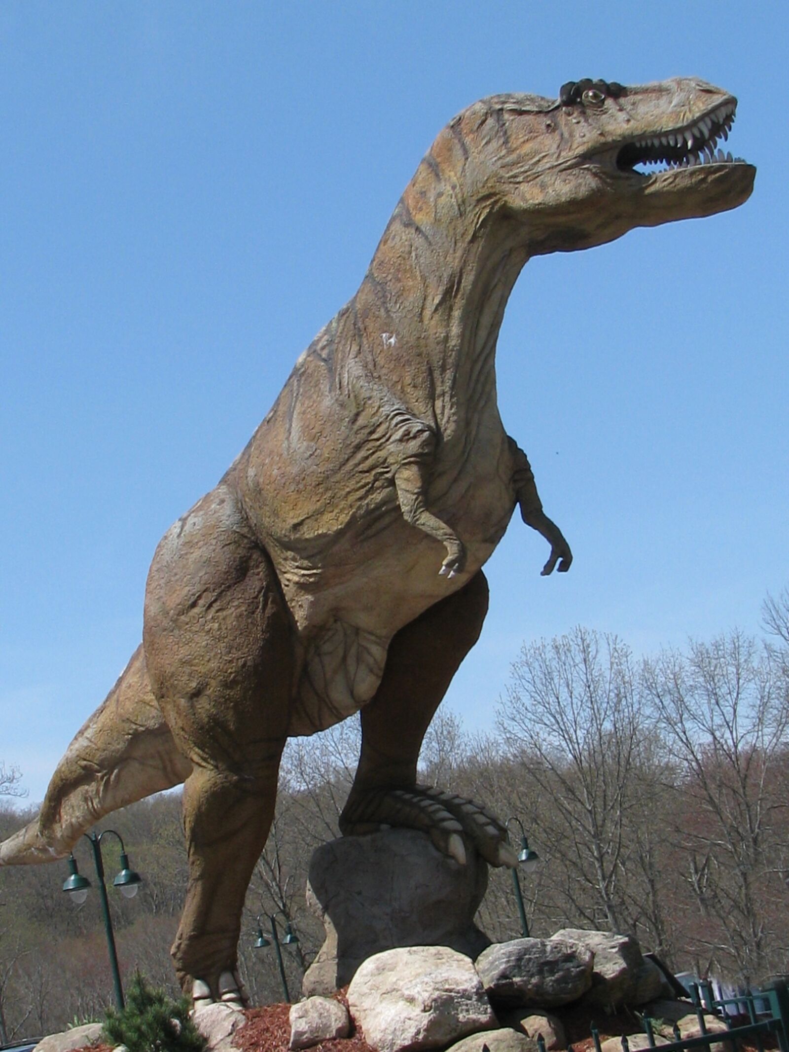 Canon POWERSHOT S5 IS sample photo. Dinosaur, t-rex, dino photography