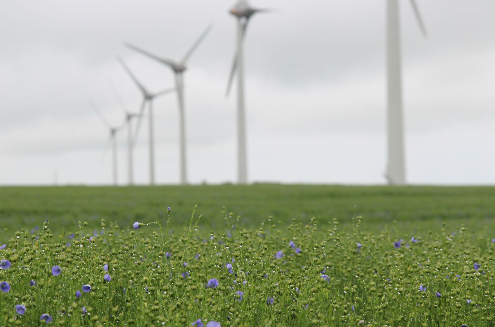 Canon EOS 1200D (EOS Rebel T5 / EOS Kiss X70 / EOS Hi) sample photo. Wind turbine, lin, france photography