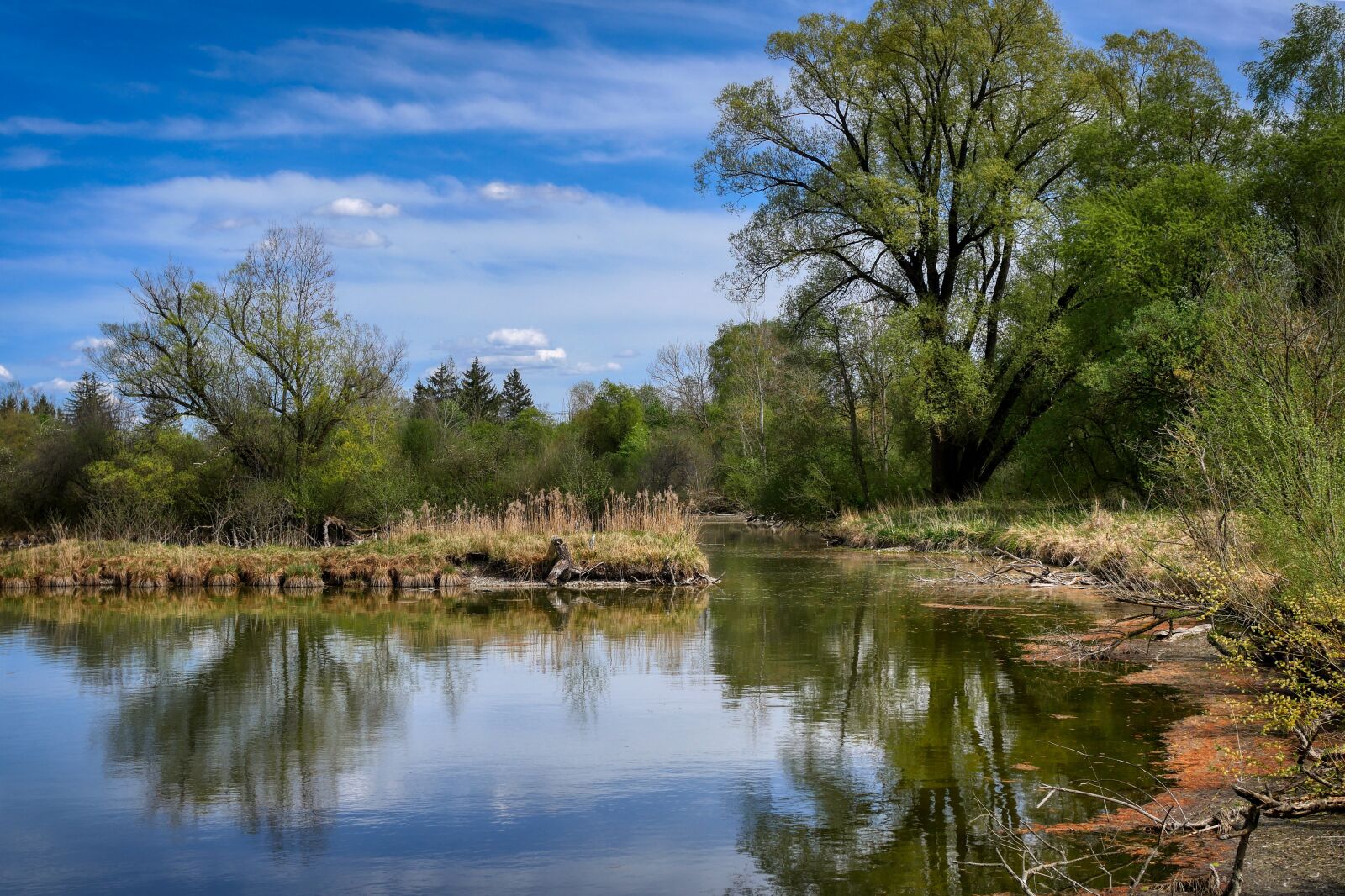 Panasonic Lumix DMC-GX8 sample photo. Lake, spring, nature photography