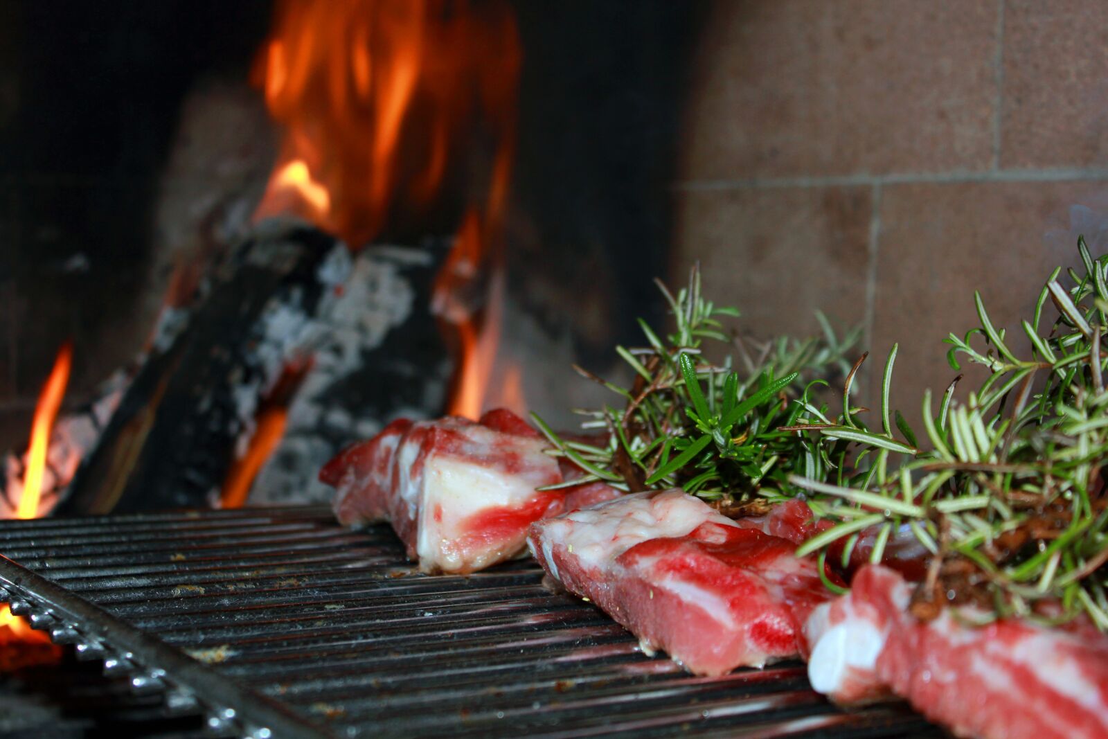 Canon EOS 550D (EOS Rebel T2i / EOS Kiss X4) sample photo. Meat, grid, barbecue photography
