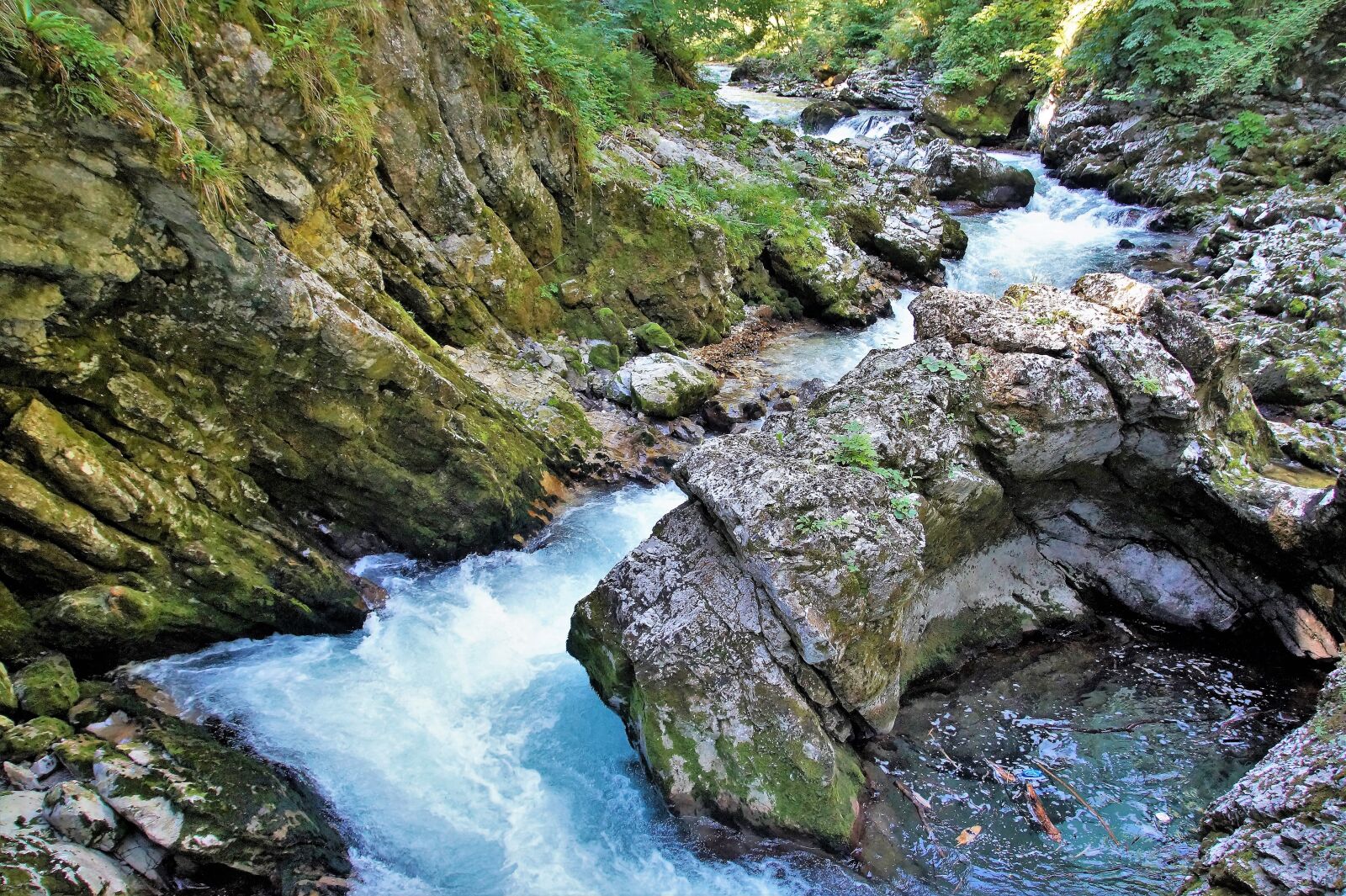 Sony SLT-A58 sample photo. The vintgar gorge, vintgar photography