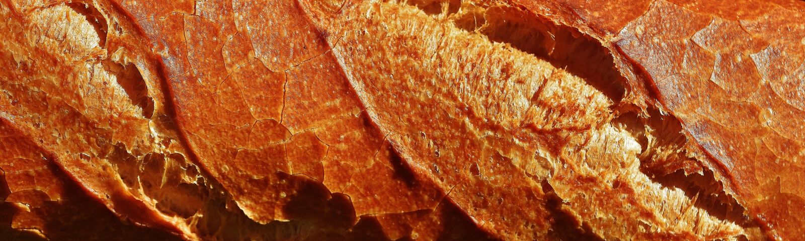 Nikon D7200 sample photo. Baguette, bread, baked goods photography