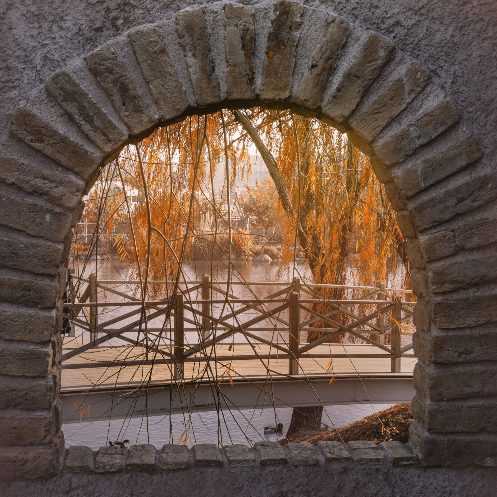 Canon EOS 700D (EOS Rebel T5i / EOS Kiss X7i) sample photo. Landscape, park, nature photography