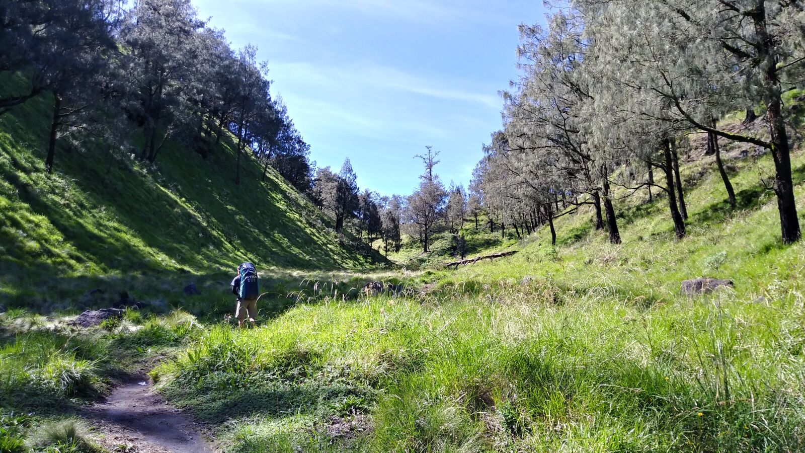 LG Q6 sample photo. Mountain, meadow, landscape photography