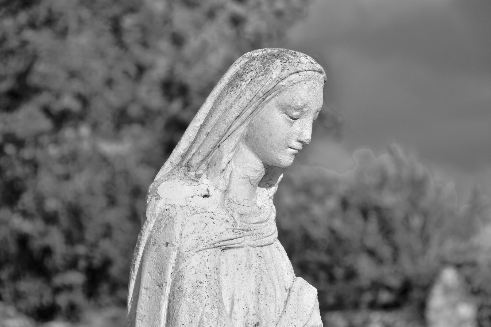 Nikon D5600 sample photo. Statue religious, sculpture, our photography