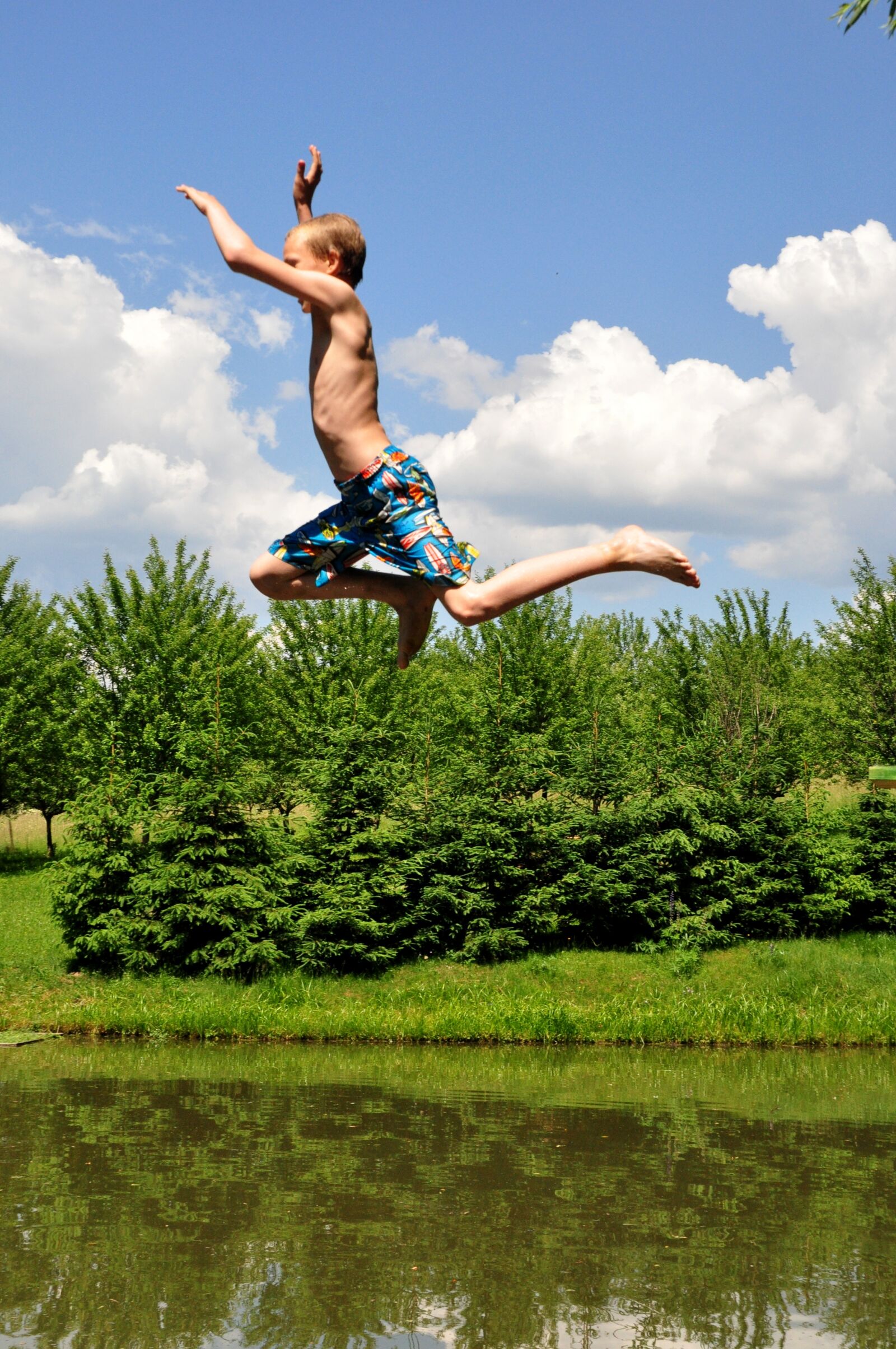Nikon D90 sample photo. Summer, swim, pond photography