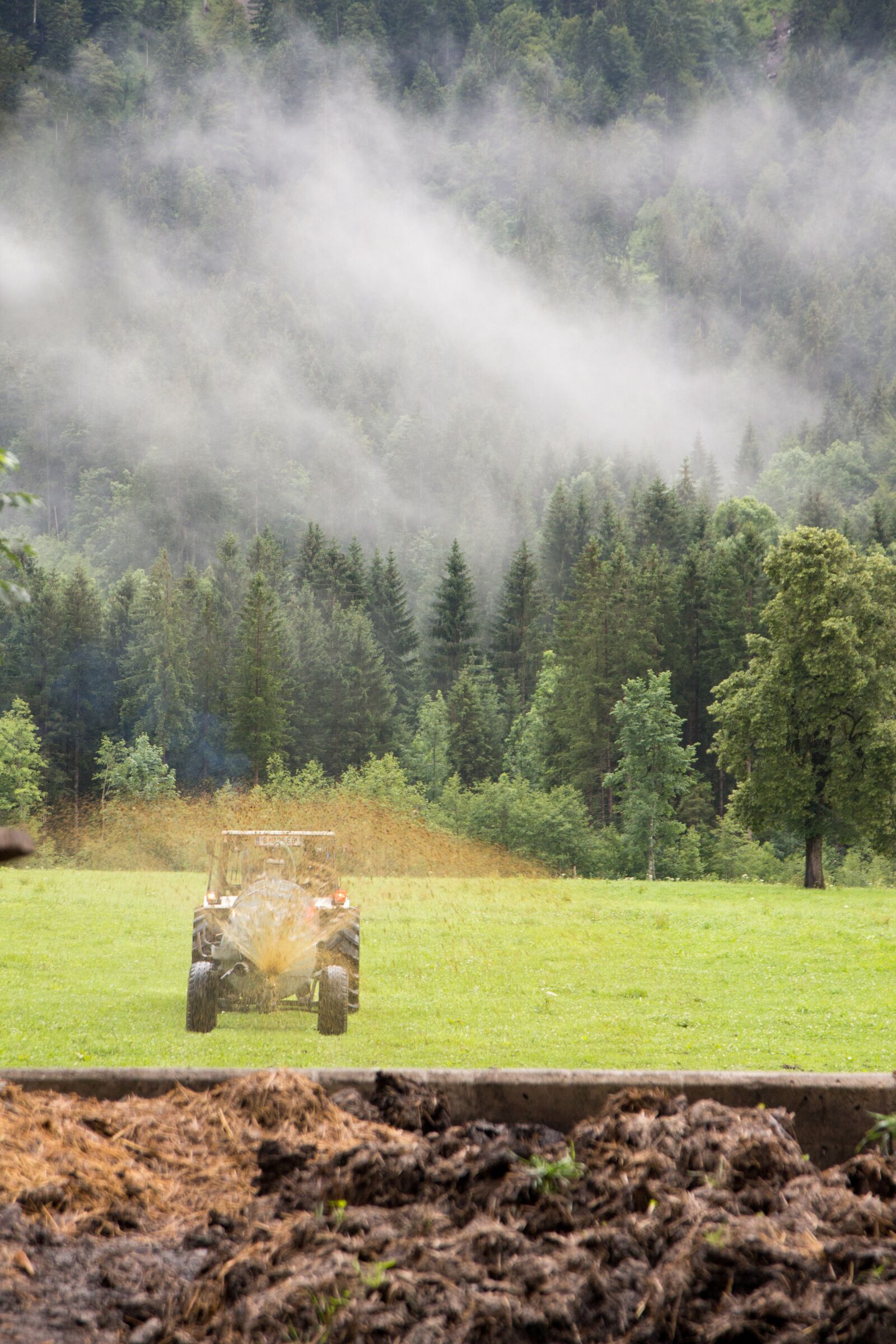 Canon EOS 650D (EOS Rebel T4i / EOS Kiss X6i) sample photo. Of course, agriculture, g photography
