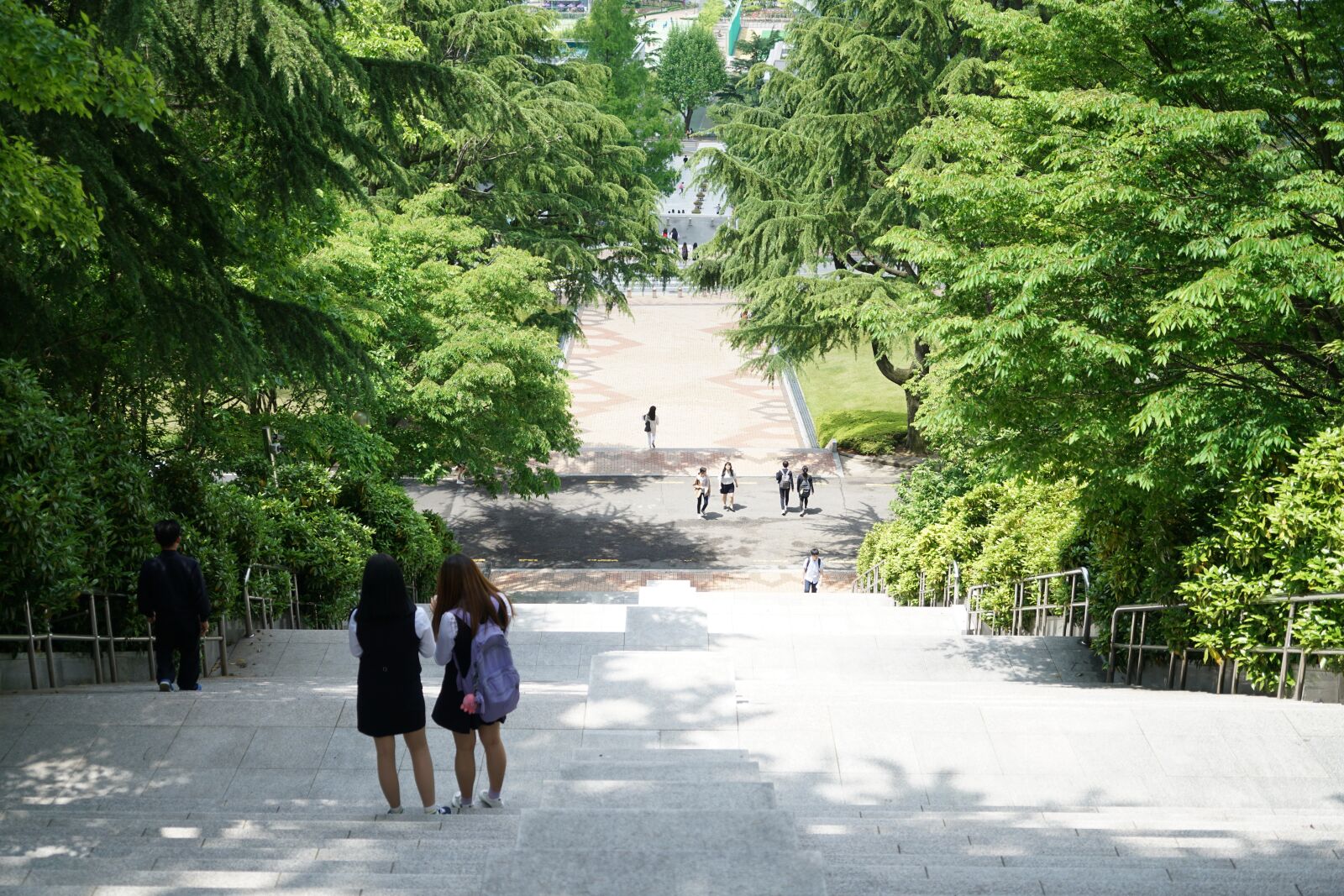 Sony a7R II + Sony Vario Tessar T* FE 24-70mm F4 ZA OSS sample photo. Joe, chosun, university photography