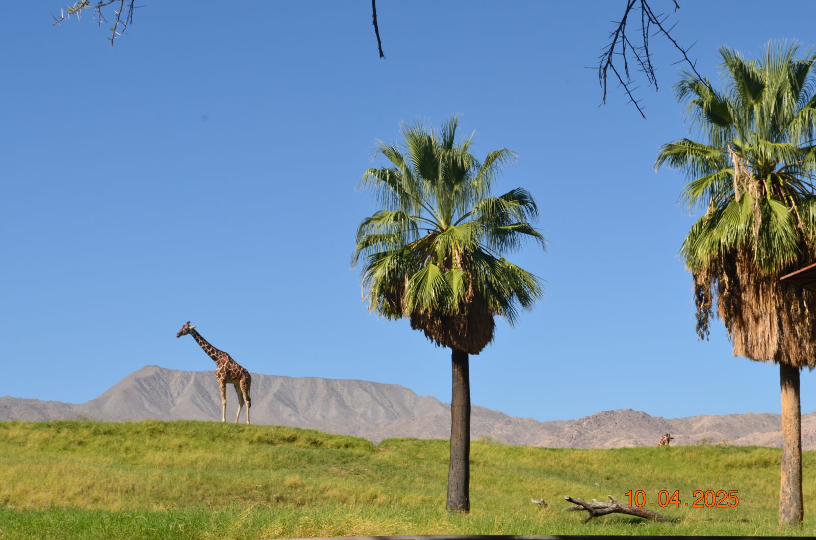 Nikon D5100 sample photo