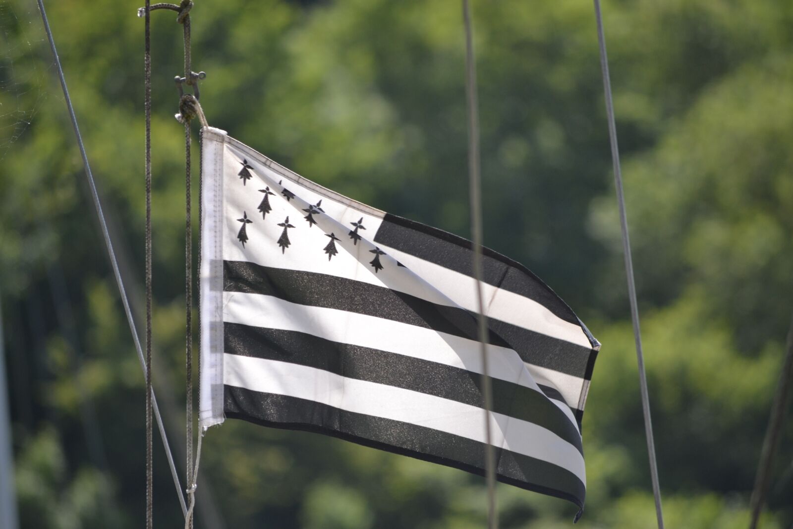 Nikon D3100 sample photo. Brittany, flag, france photography